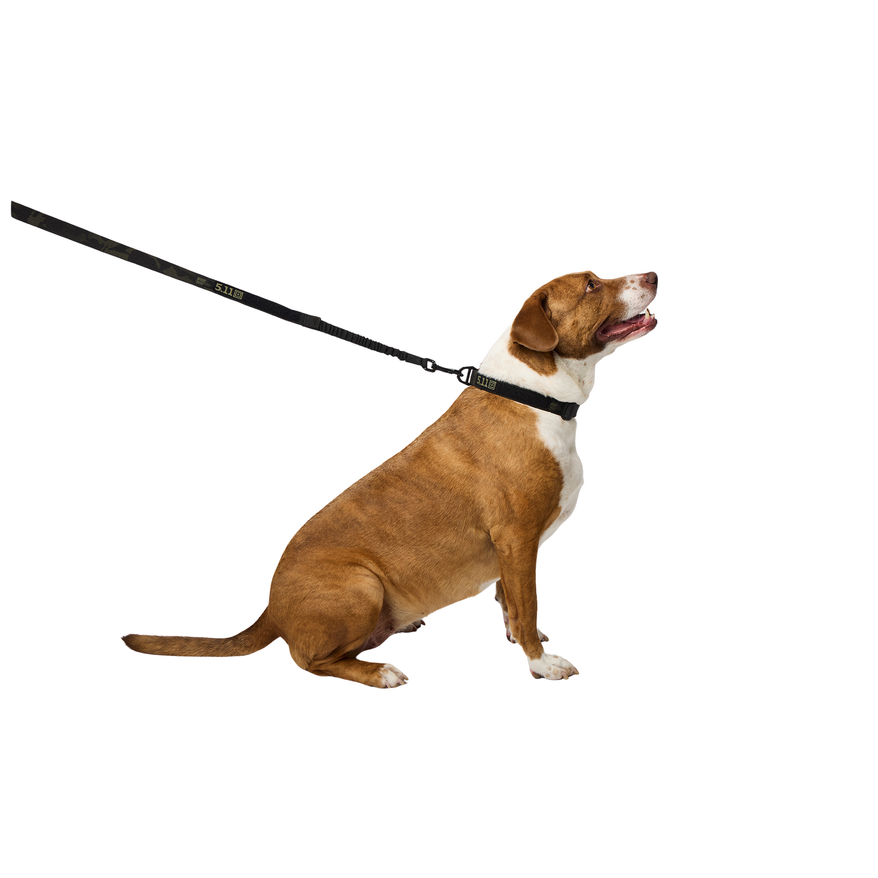 5.11 | MISSION READY MODULAR DOG LEASH - Guinzaglio