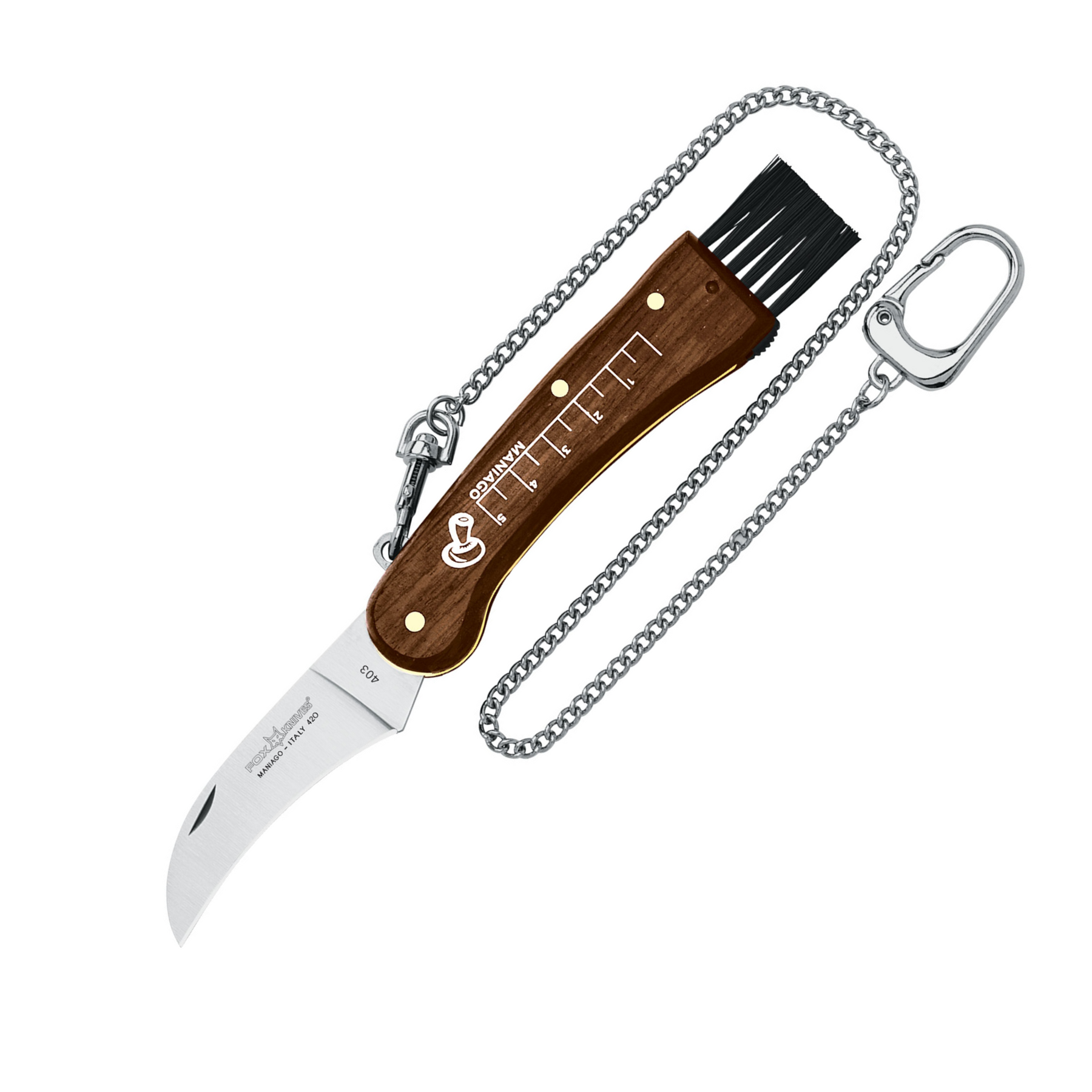 FOX Mushroom Knife 403, coltello chiudibile per funghi con lama curva inox made in Italy, manico in legno con righello inciso e pennello per pulizia, ideale per escursioni e raccolta funghi, su backpacco.it