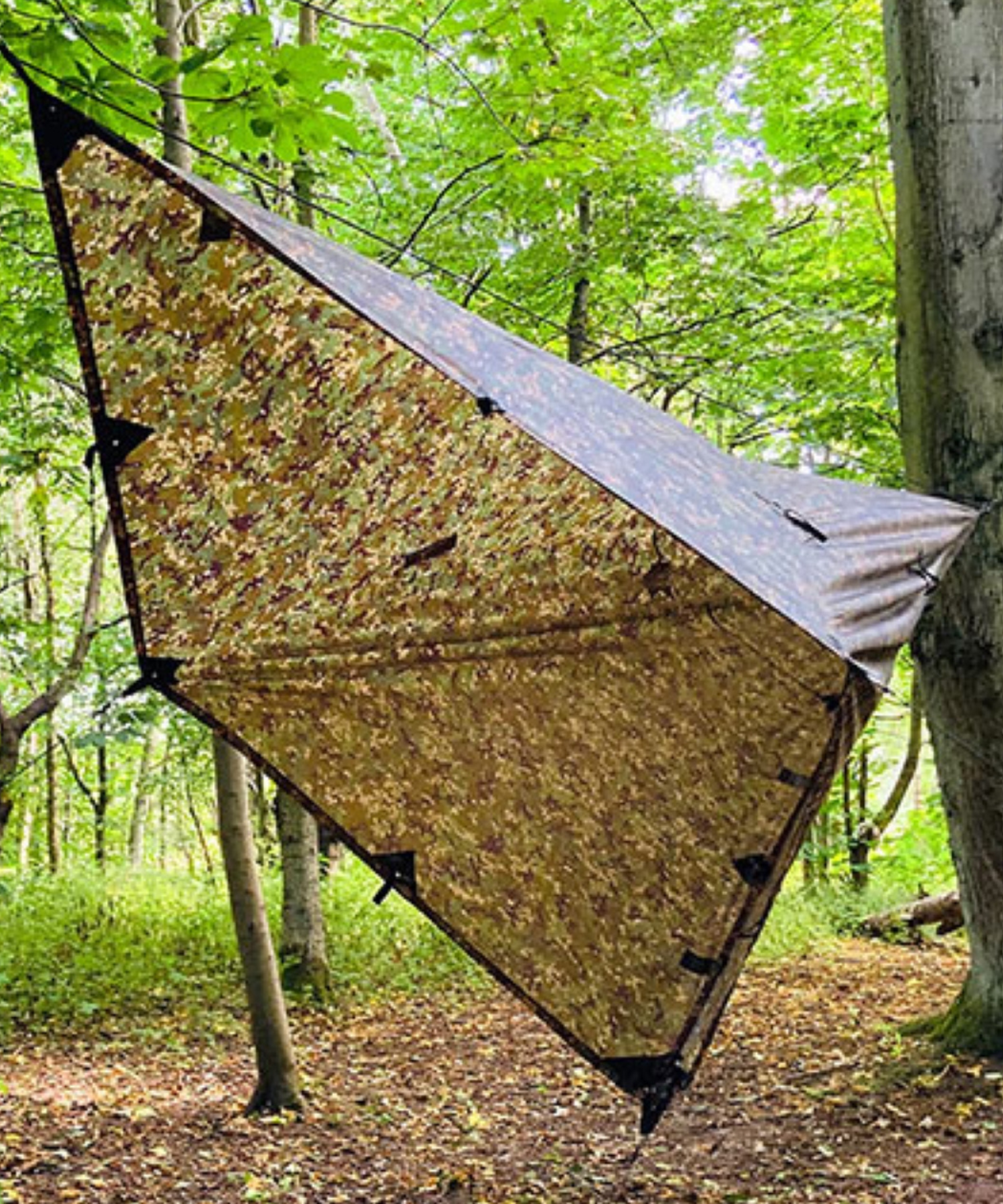 DD TARP 3x3 m PRO - Telo per camping ed escursioni