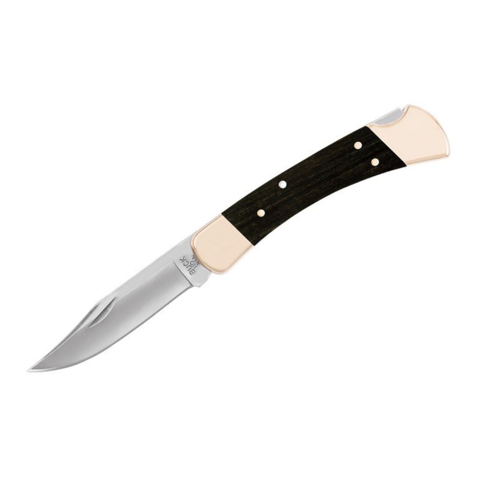 buck 110 hunter knife