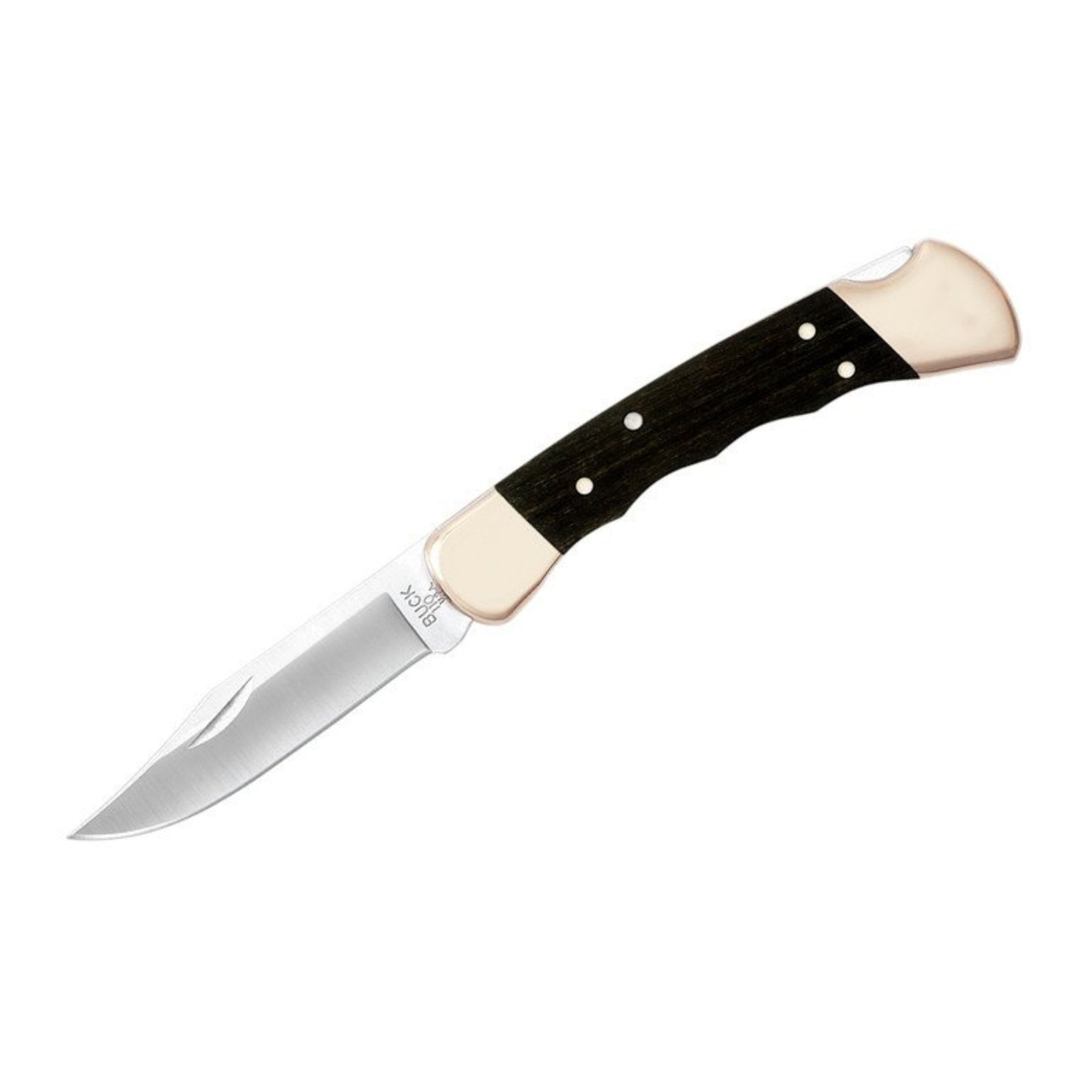 BUCK | 110 HUNTER KNIFE - Chiudibile EDC