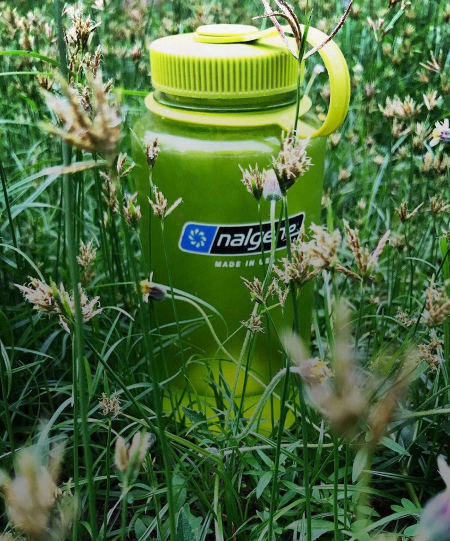 NALGENE'S PILLARS OF IMPACT SOSTENIBILITà