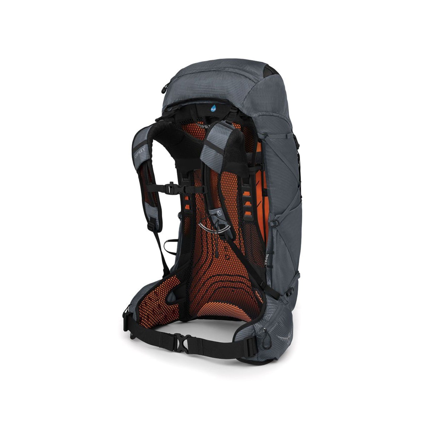 OSPREY | EXOS 38 - Zaino da 38 L