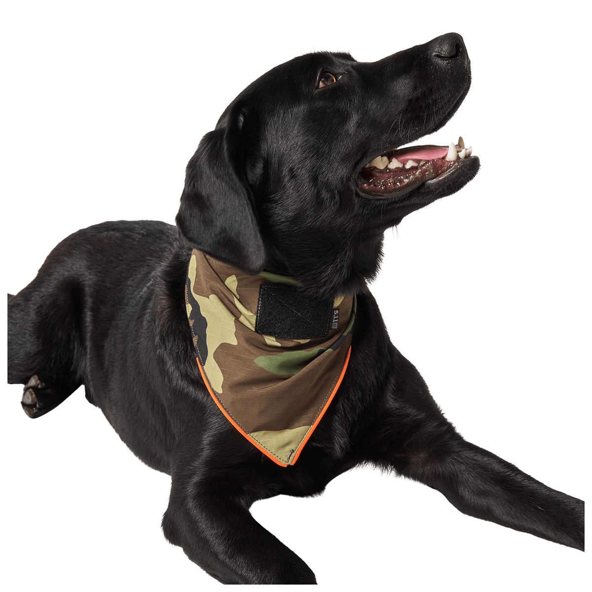 5.11 | MISSION READY DOG BANDANA - Bandana per cane - BackPacco - BP-5.11-6880017-400-S