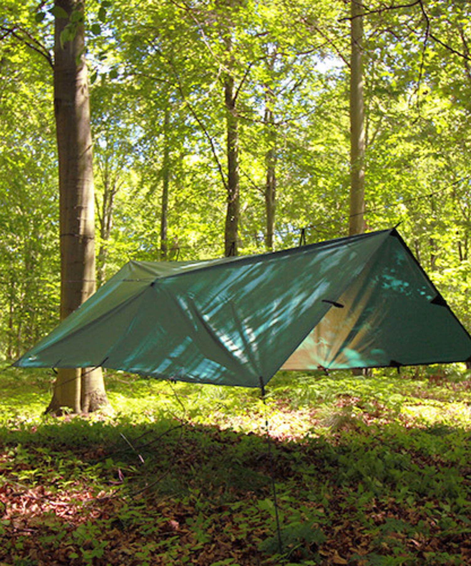 DD TARP 3x3 m PRO - Telo per camping ed escursioni