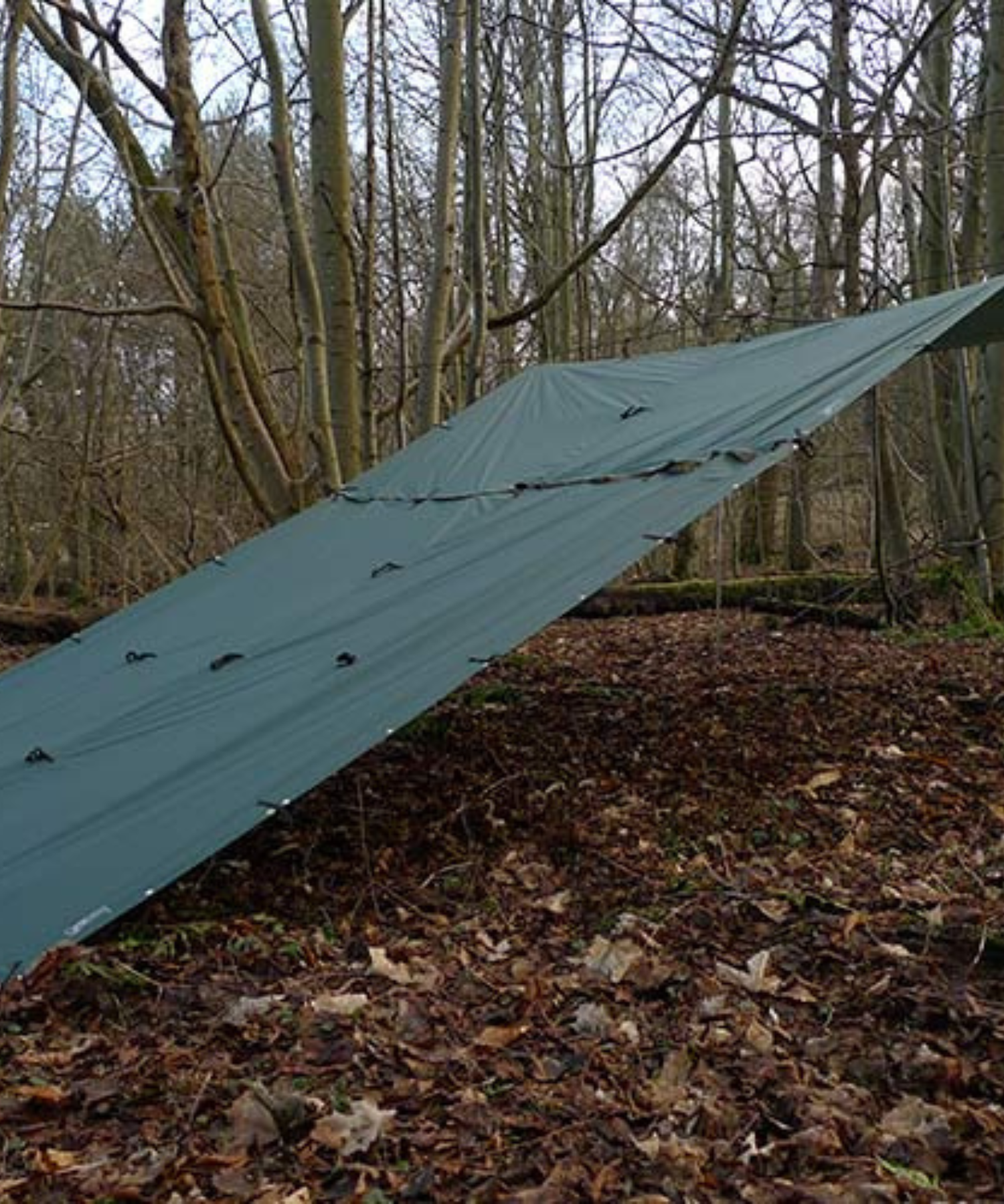 DD TARP 3x3 m PRO - Telo per camping ed escursioni