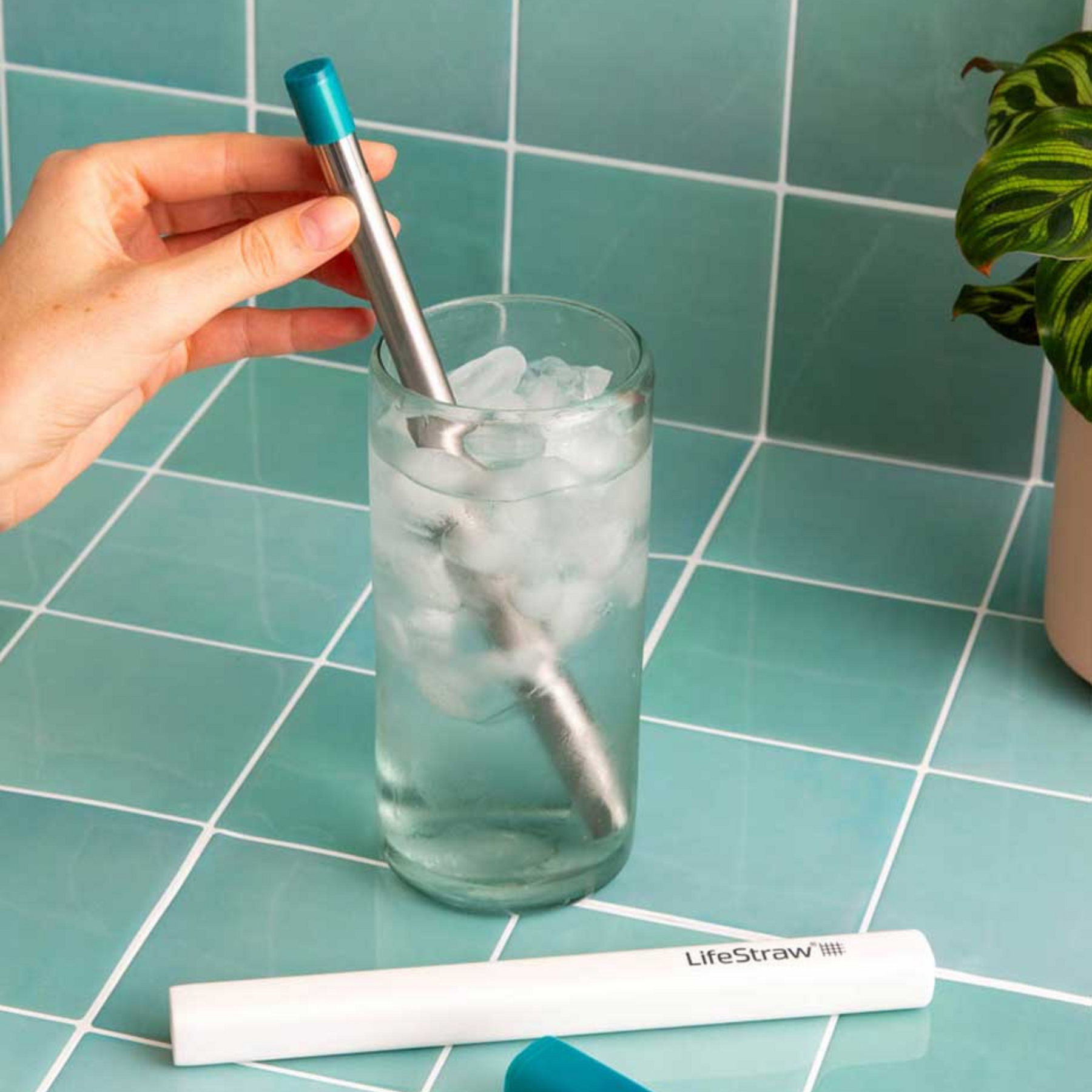 Cannuccia filtrante LifeStraw SIP in acciaio inox per escursioni, viaggi e outdoor - disponibile su backpacco.it