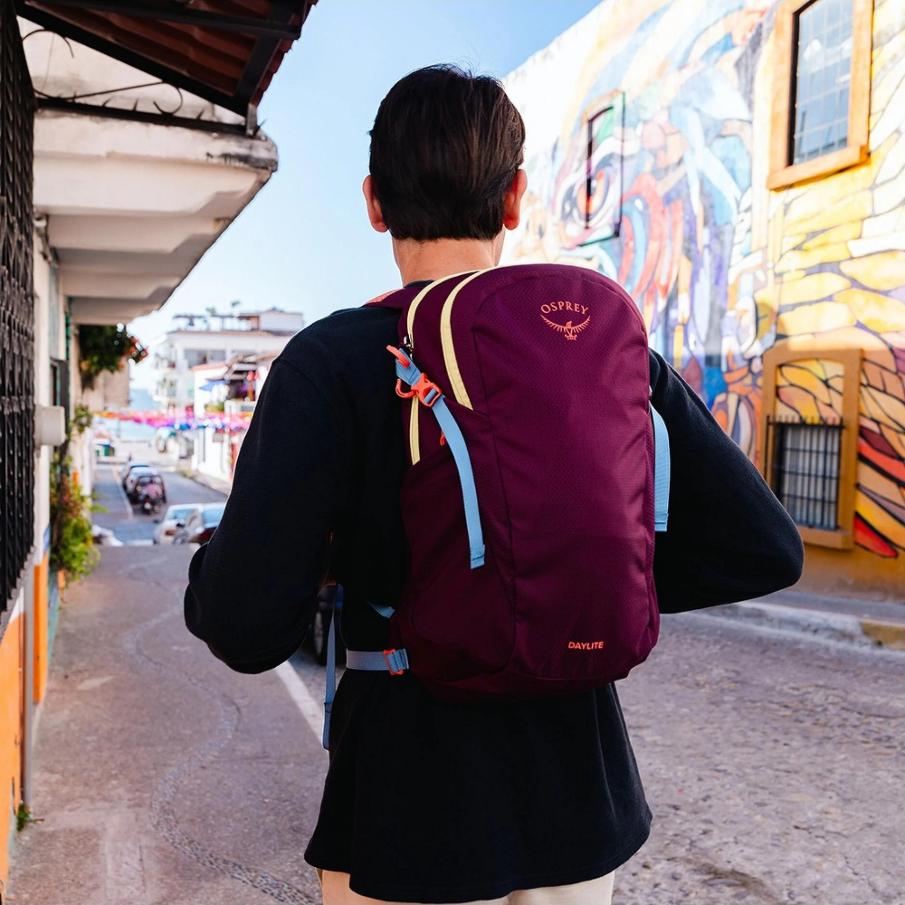 Zaino Osprey Daylite da 13 litri, compatto e leggero con spallacci imbottiti e traspiranti, doppio scomparto con zip e cinturino pettorale, ideale per escursioni, viaggi e uso quotidiano, su backpacco.it