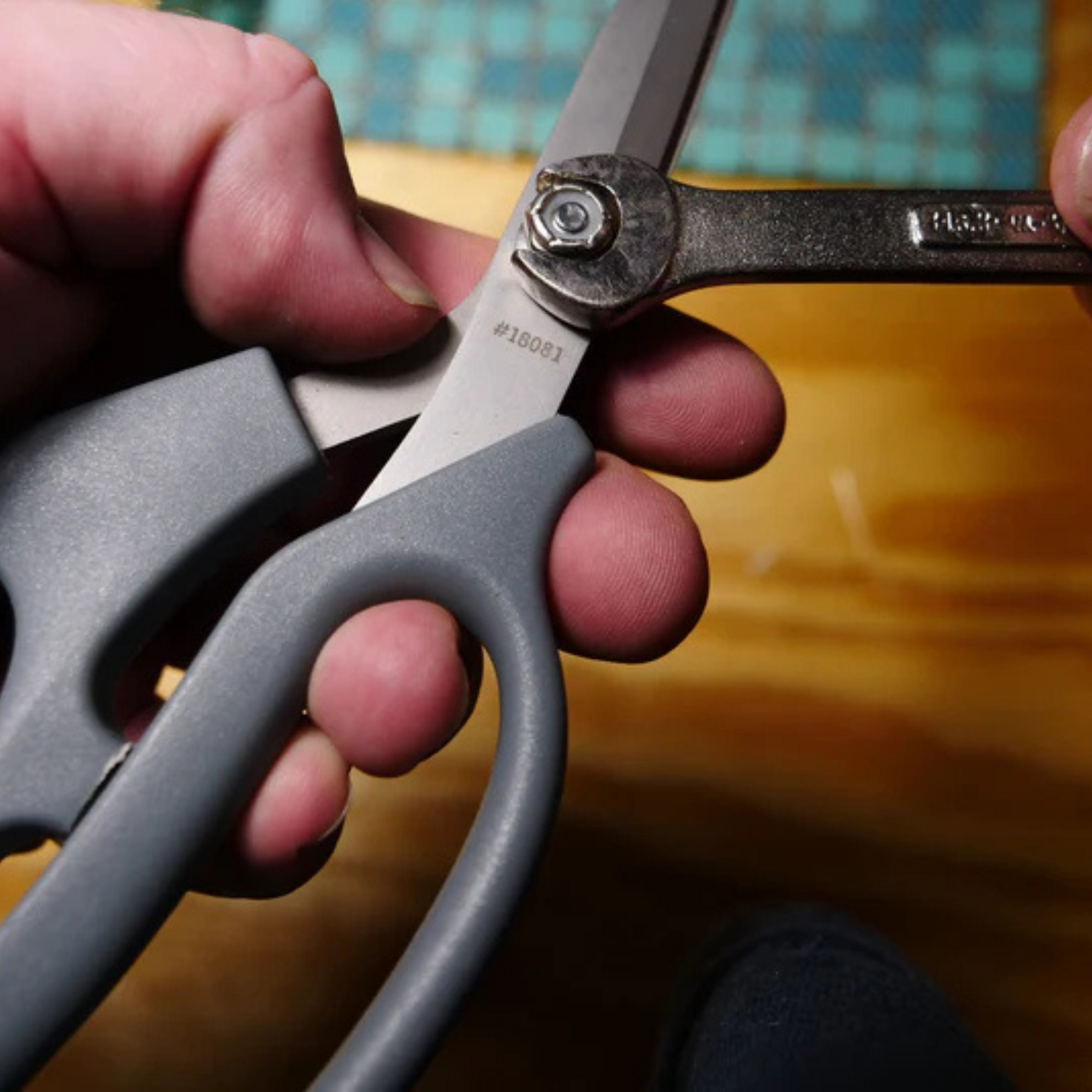 CLAUSS | TI ULTRAFLEX BENT SHEAR 8" - Forbici