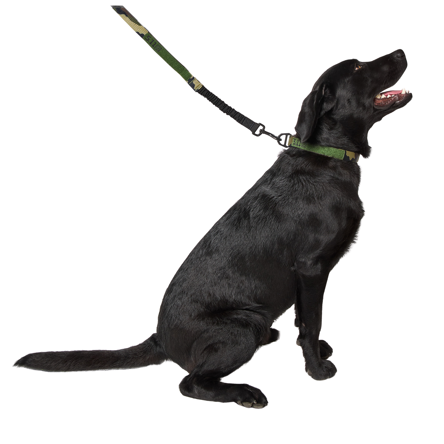5.11 | MISSION READY MODULAR DOG LEASH - Guinzaglio