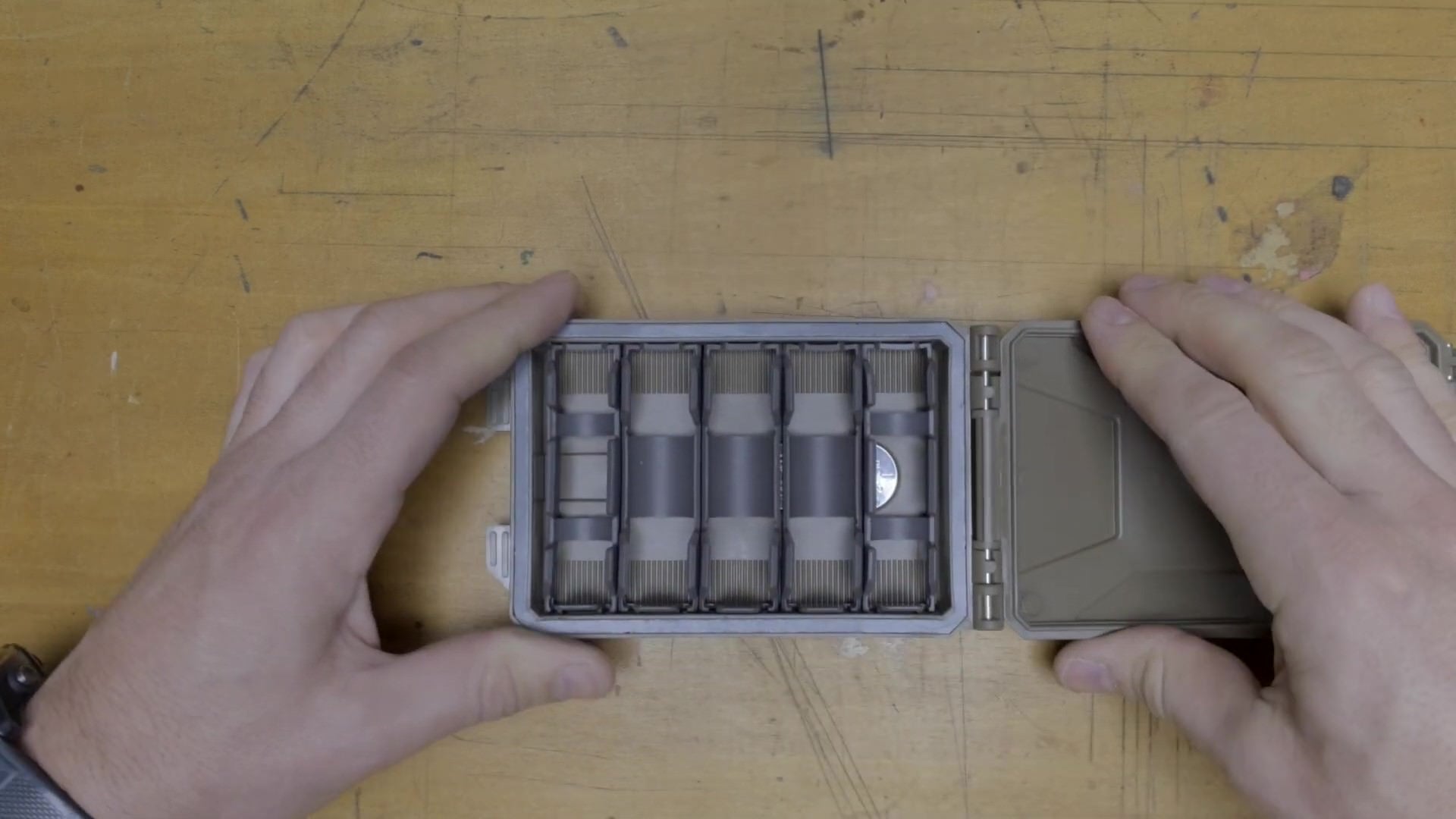 copertina video istruzioni della cellvault 5m thyrm