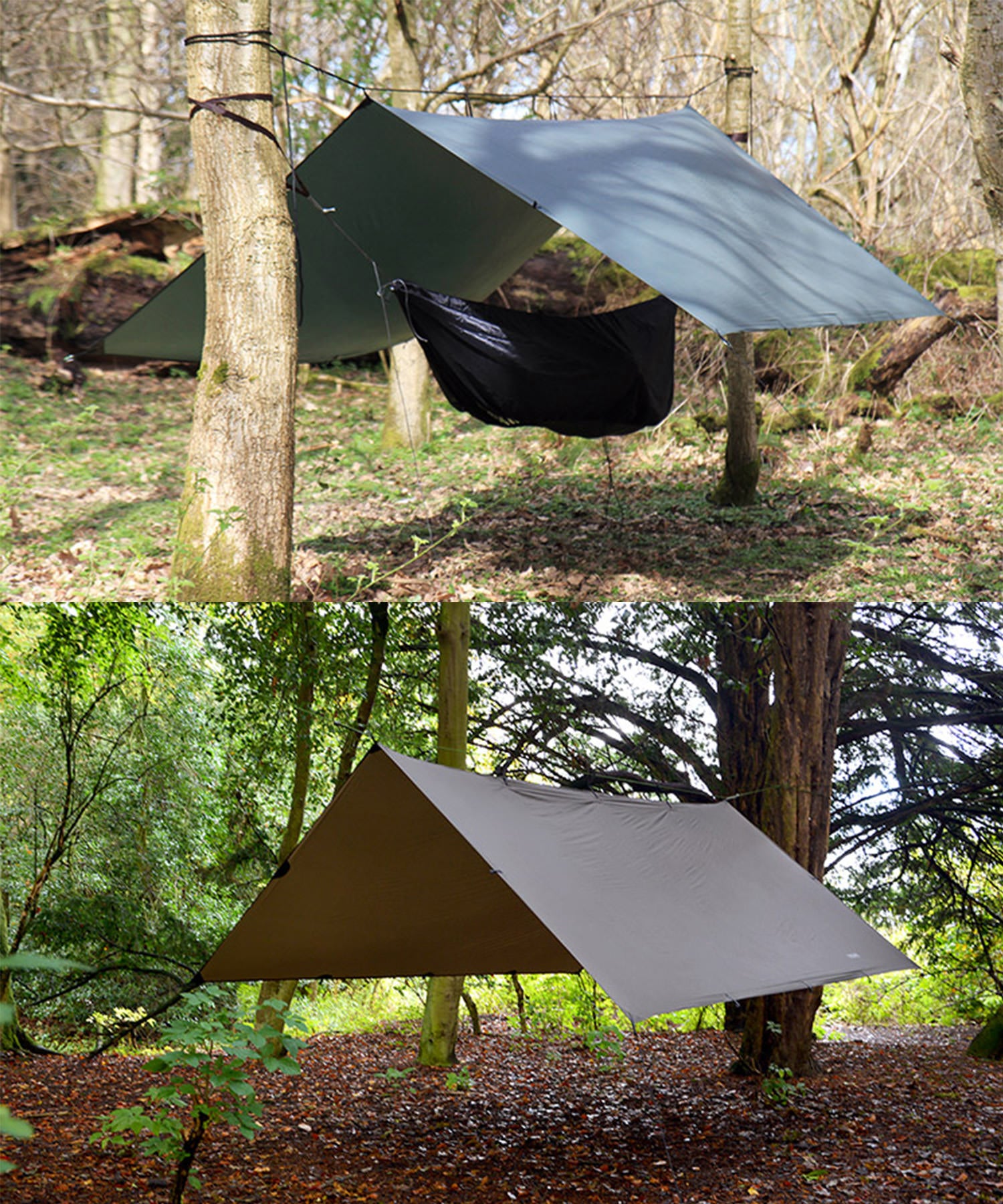 DD SuperLight tarp montati tra due alberi