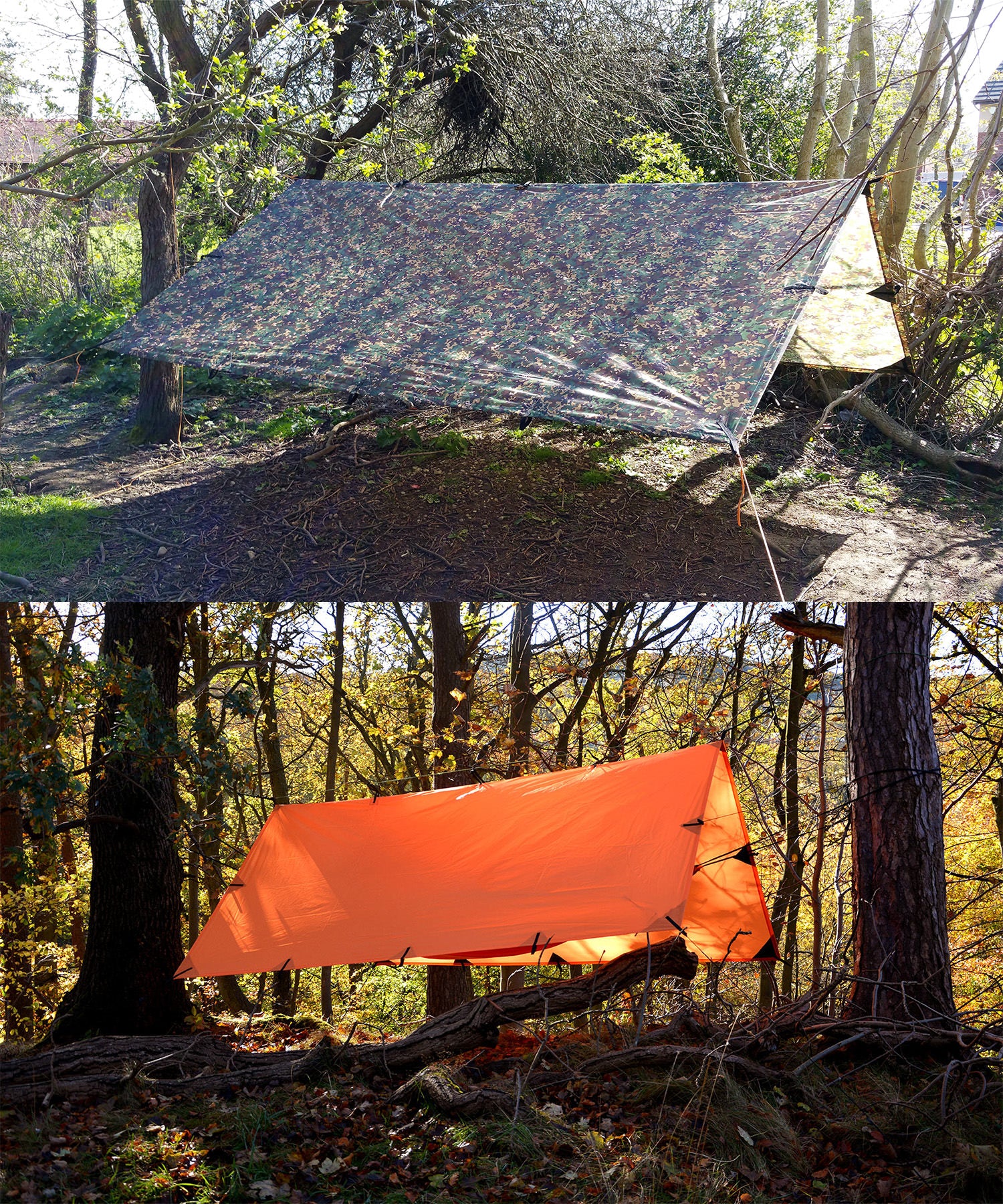 DD tarp multicam e sunset orange a confronto