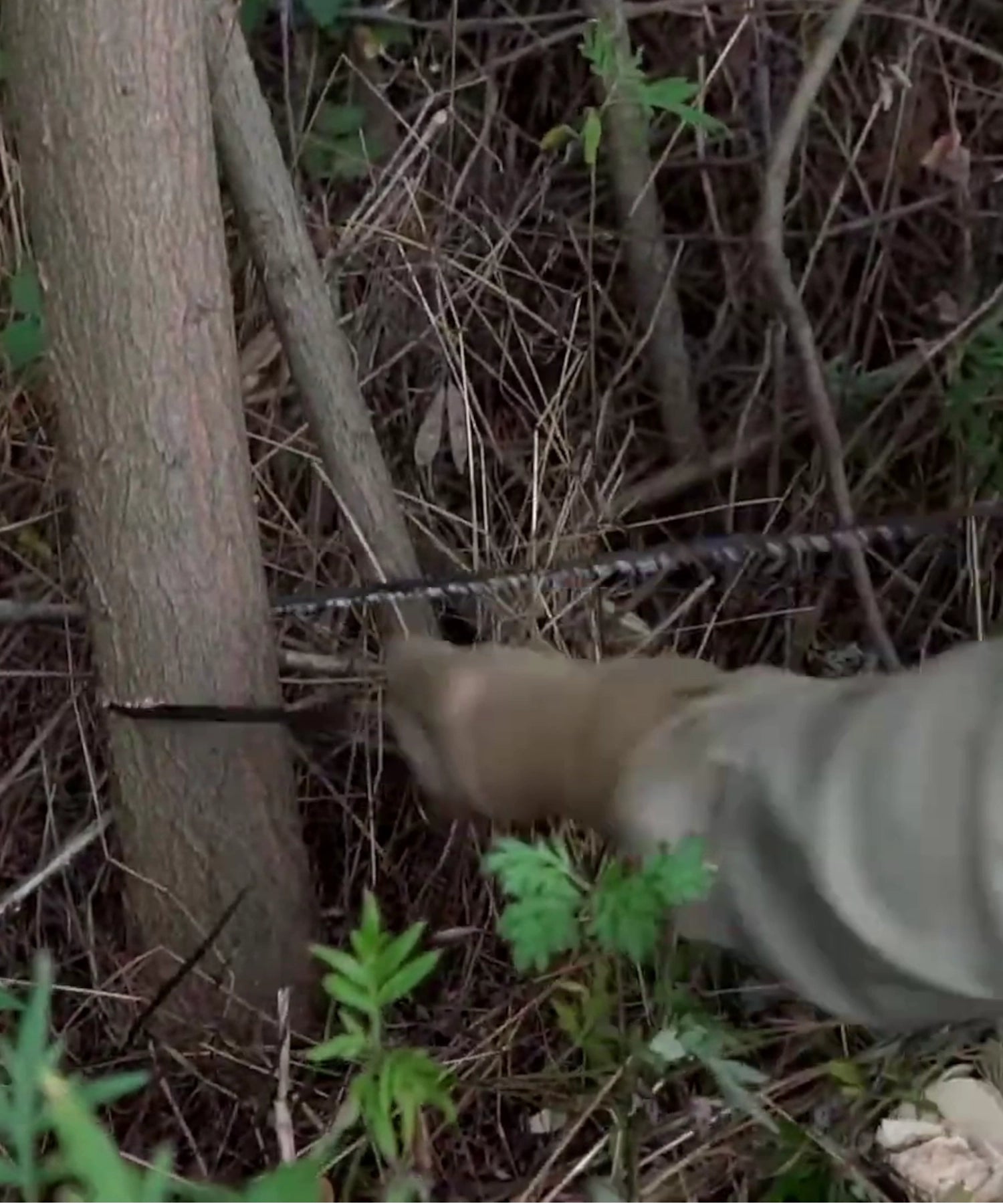 Foto dove è mostrato l'uso della sega a filo dell'ERS KIT di Extrema Ratio