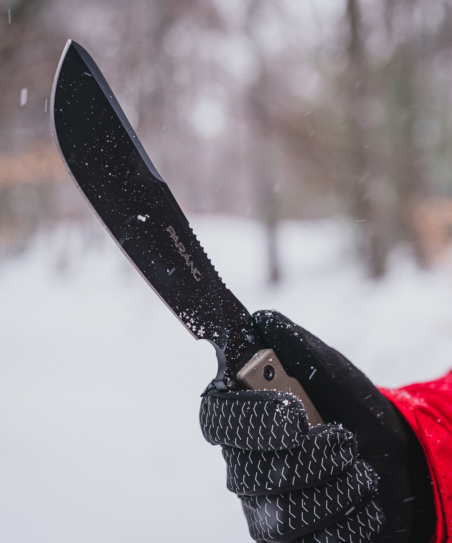 Il fox parang nella neve in montagna