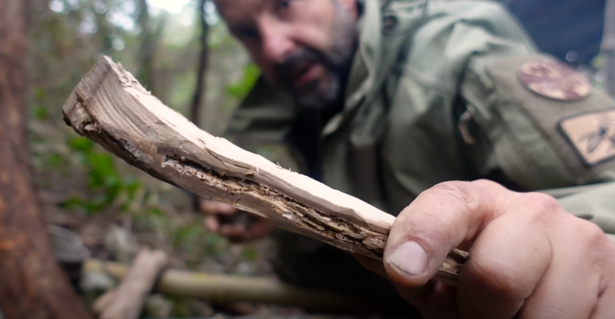 COPERTINA DEL VIDEO 7 VS WILD EXPREME EDITION PUNTATA 5