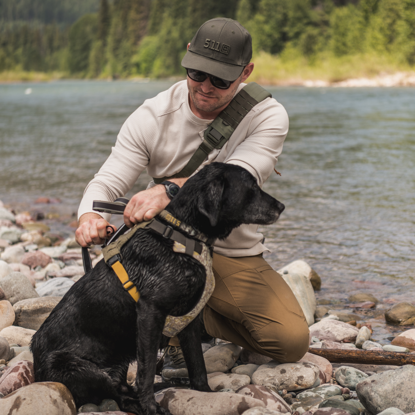 attrezzatura per amici a quattro zampe disponibile su backpacco.it