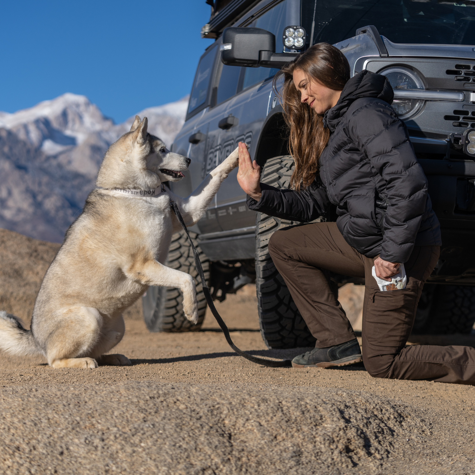 Giochi per cani su backpacco.it