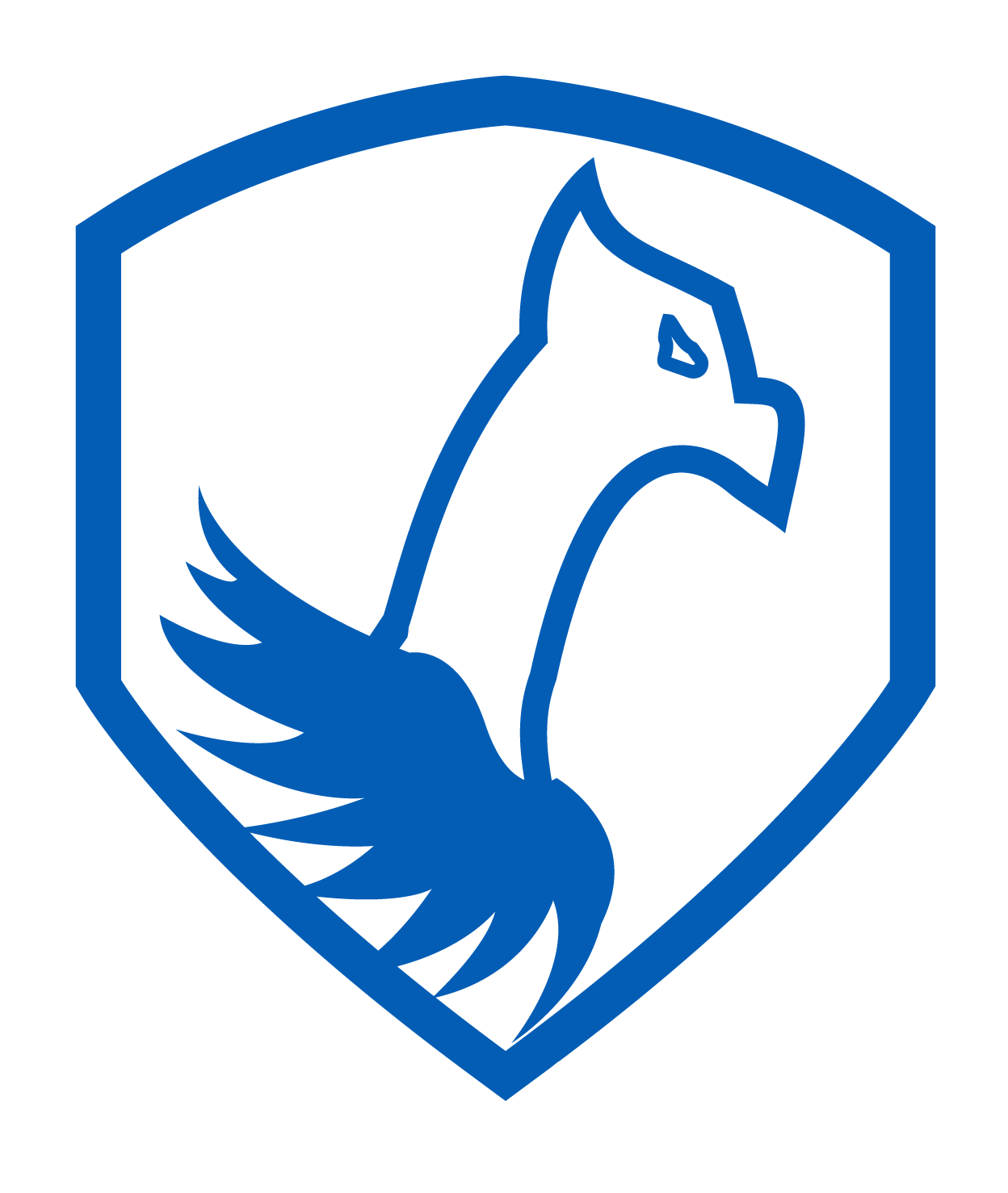 LOGO CONDOR TOOL & KNIFE