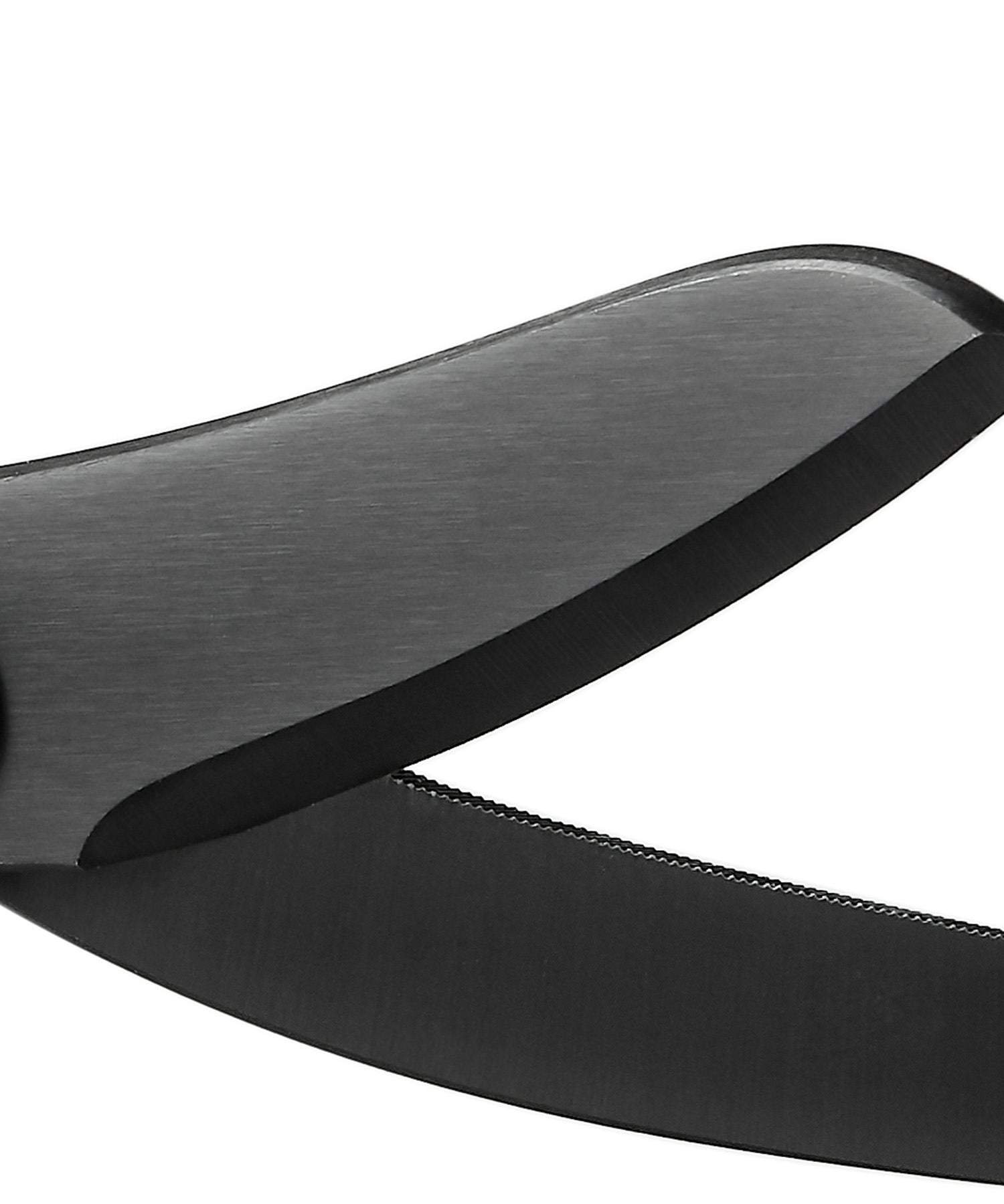 dettaglio della copertura in titanio delle lame delle xshears