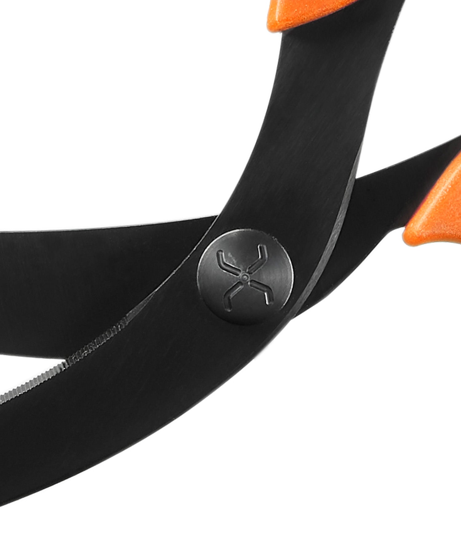 dettaglio della vite delle forbici xshears