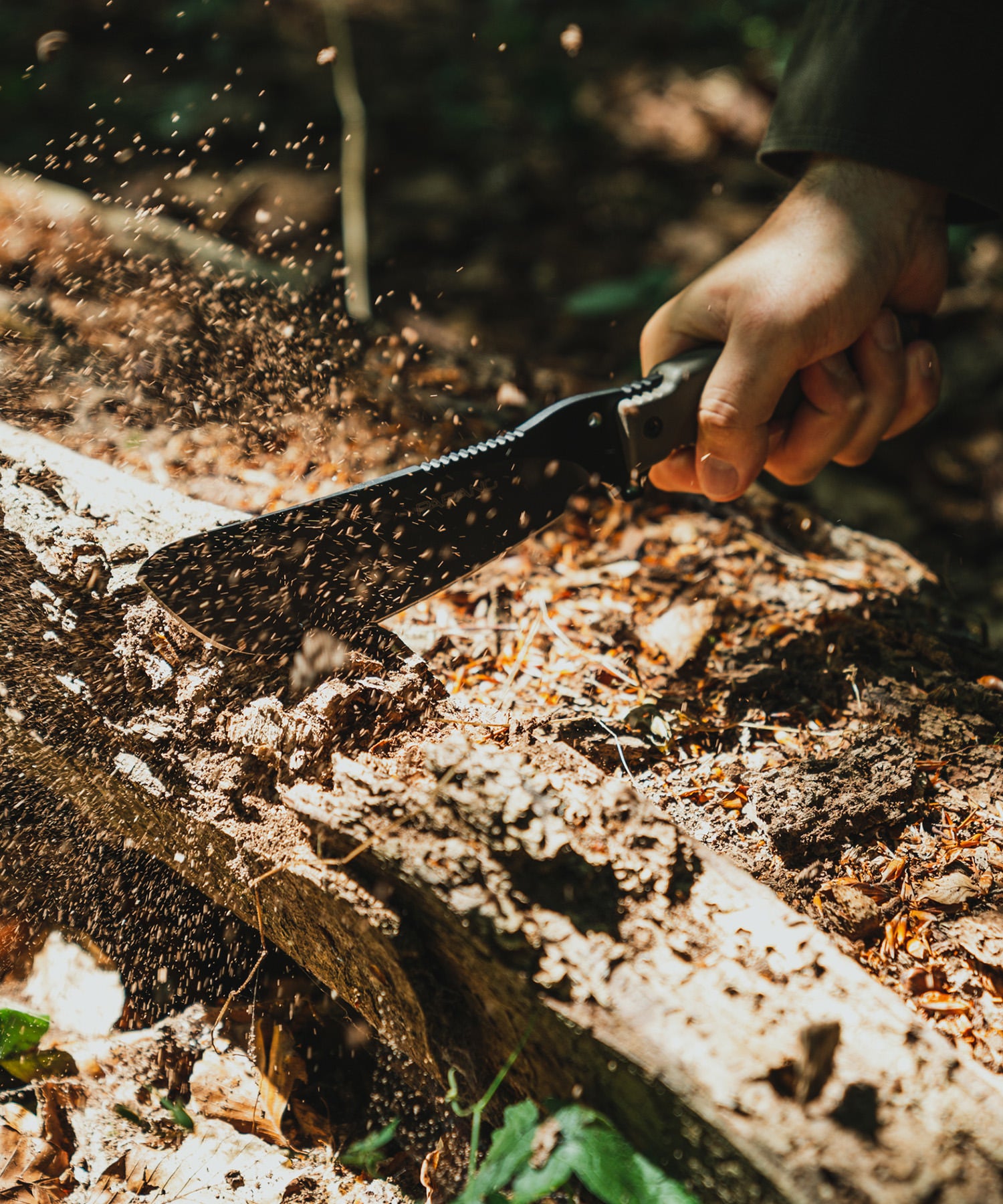 fox parang colpisce e taglia un tronco per il fuoco