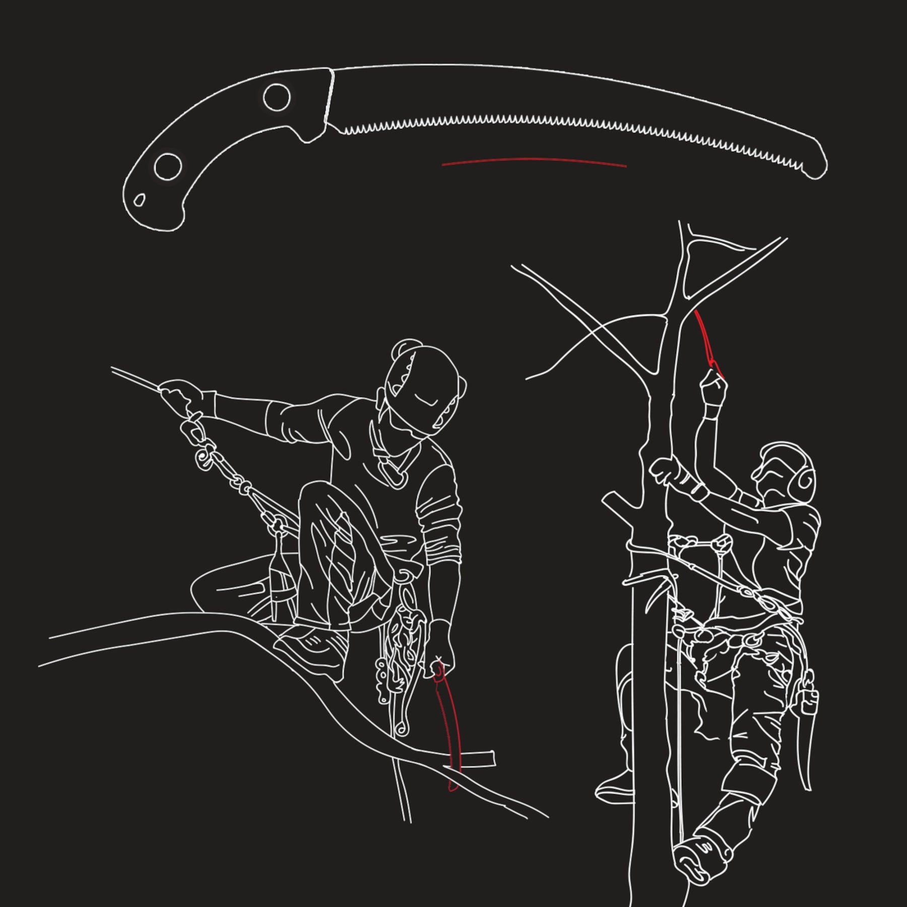 Disegno che illustra il profilo curvo dei seghetti Silky