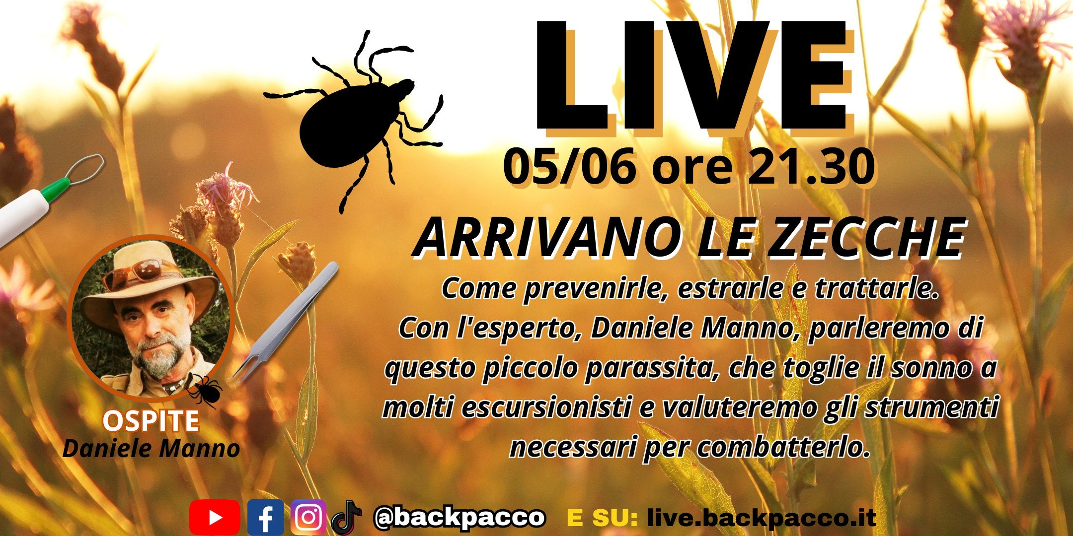 live 5/06