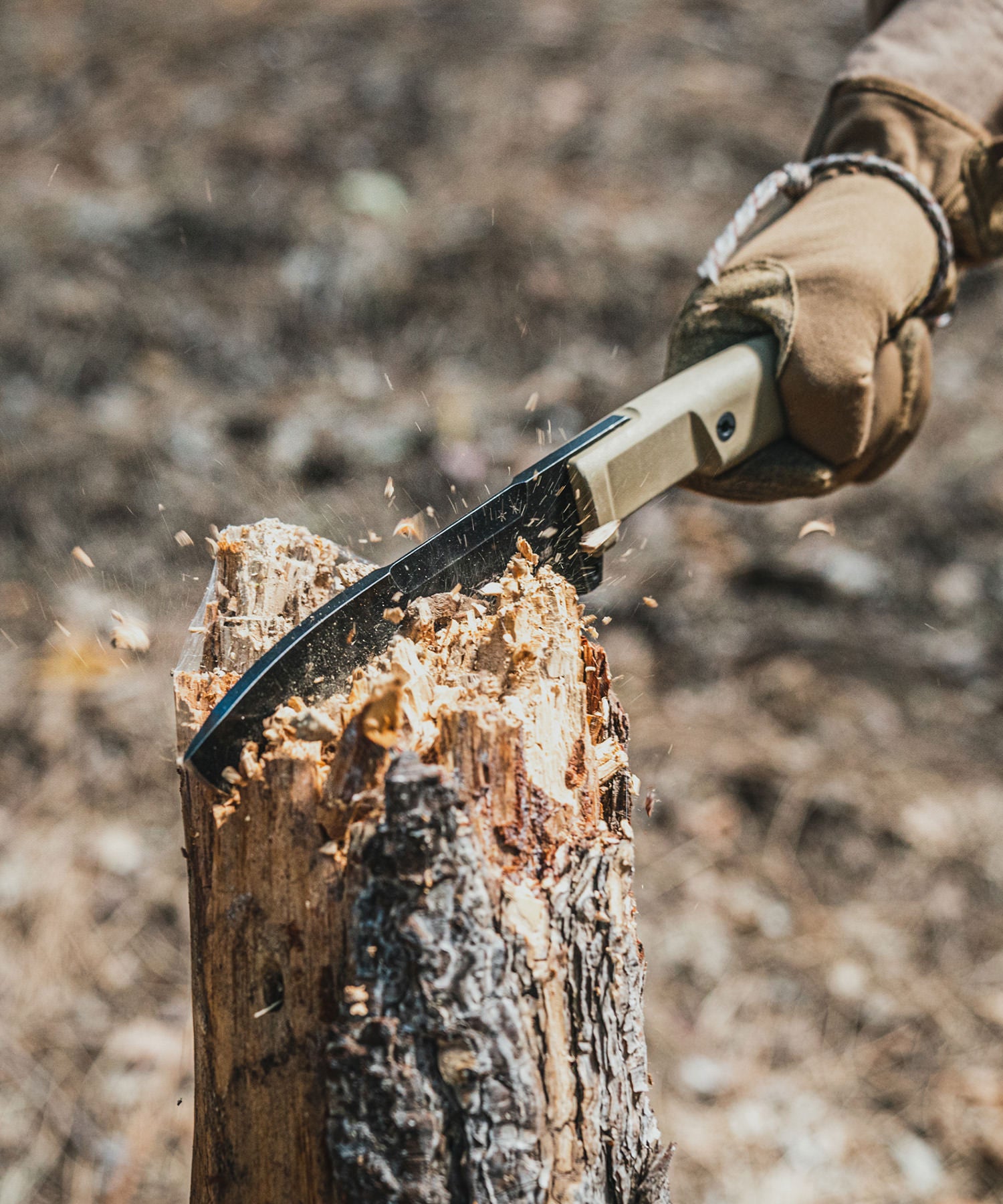 selvans expeditions mentre impatta su un tronco nel bosco