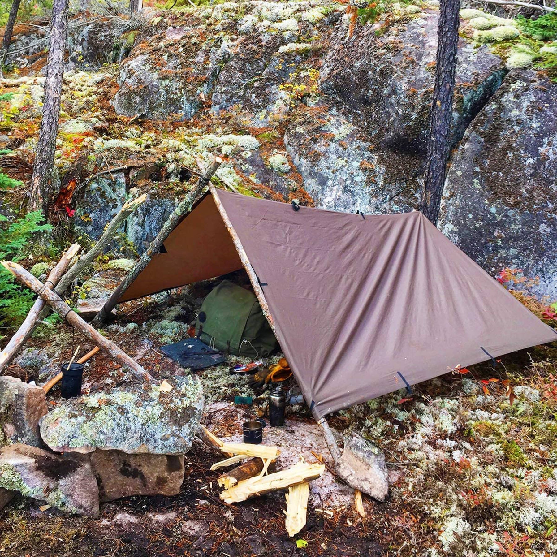 DD Tarp 3x3 coyote brown- montato nel bosco