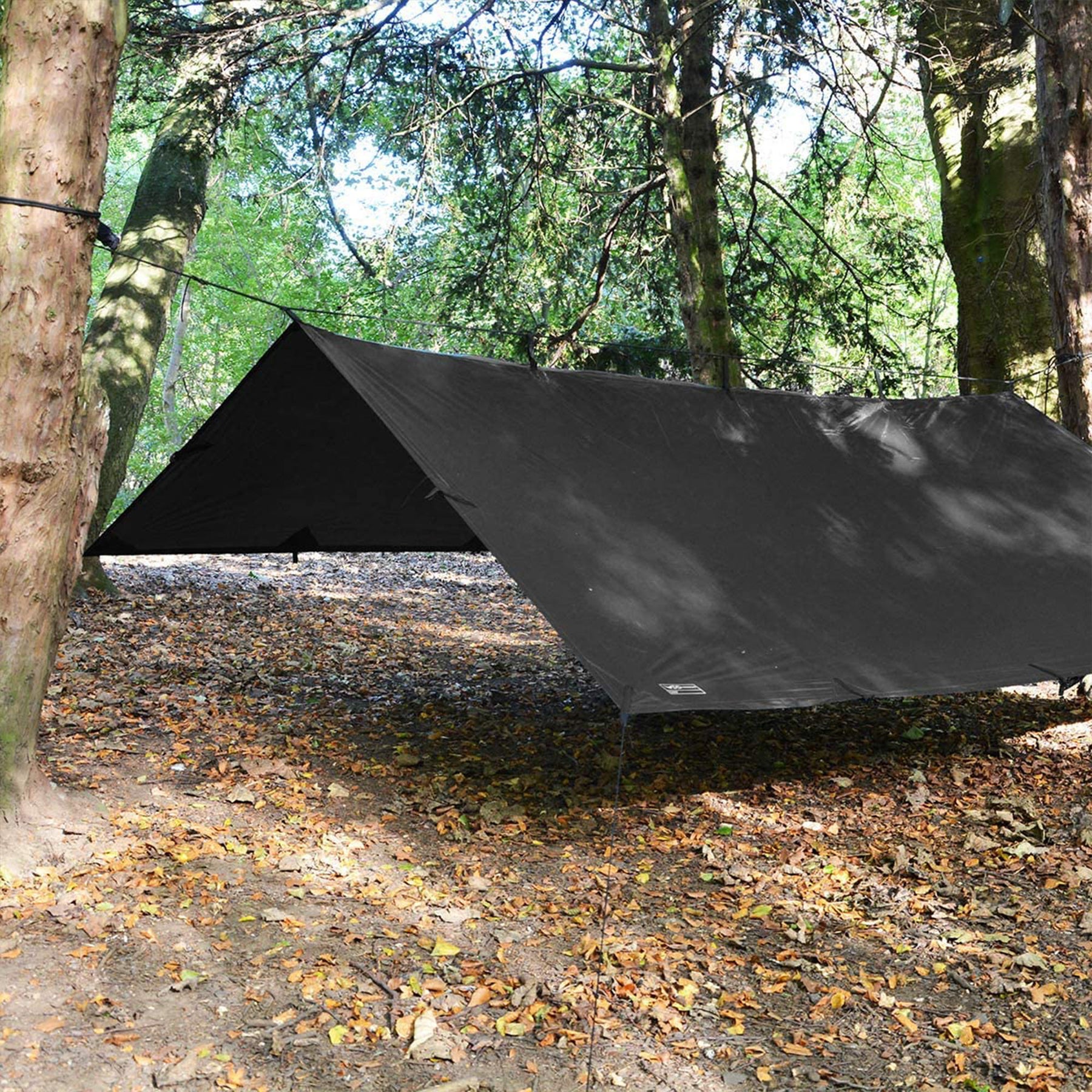 DD Tarp 3x3 jet black - montato nel bosco