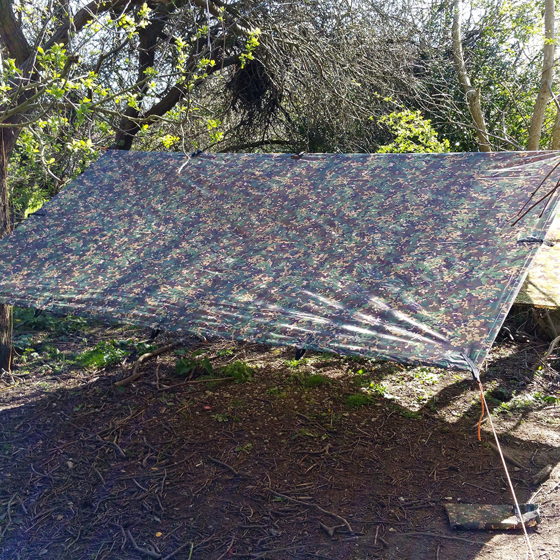 DD Tarp 3x3 multicam - montato nel bosco