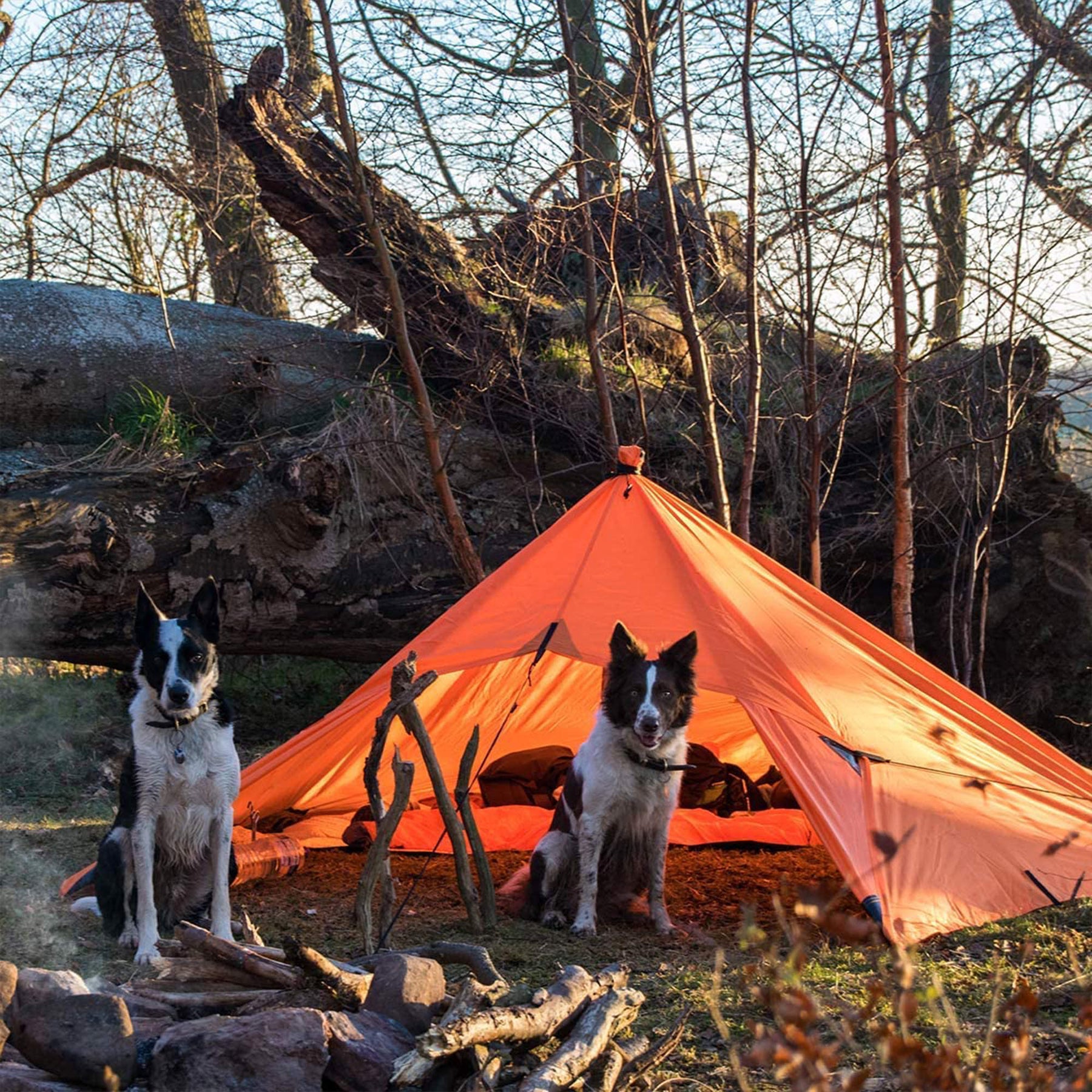 DD Tarp 3x3 sunset orange - montato nel bosco