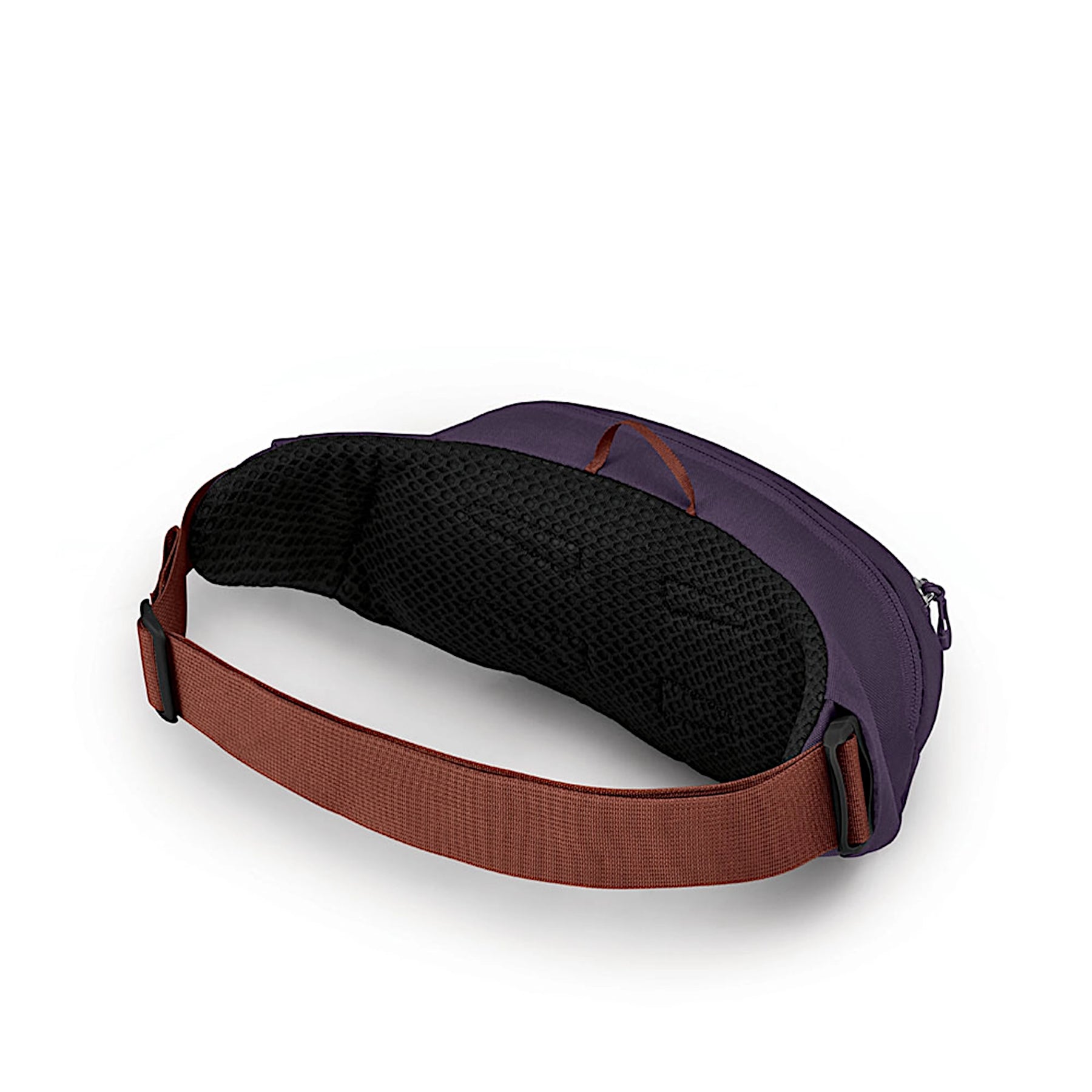 OSPREY DAYLITE WAIST AXO GREEN & ENCHANTMENT PURPLE