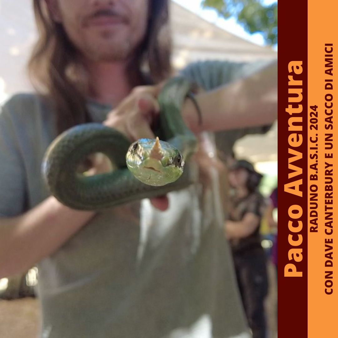 PACCO AVVENTURA: RADUNO B.A.S.I.C. 2024 CON DAVE CANTERBURY E UN SACCO DI AMICI - BackPacco