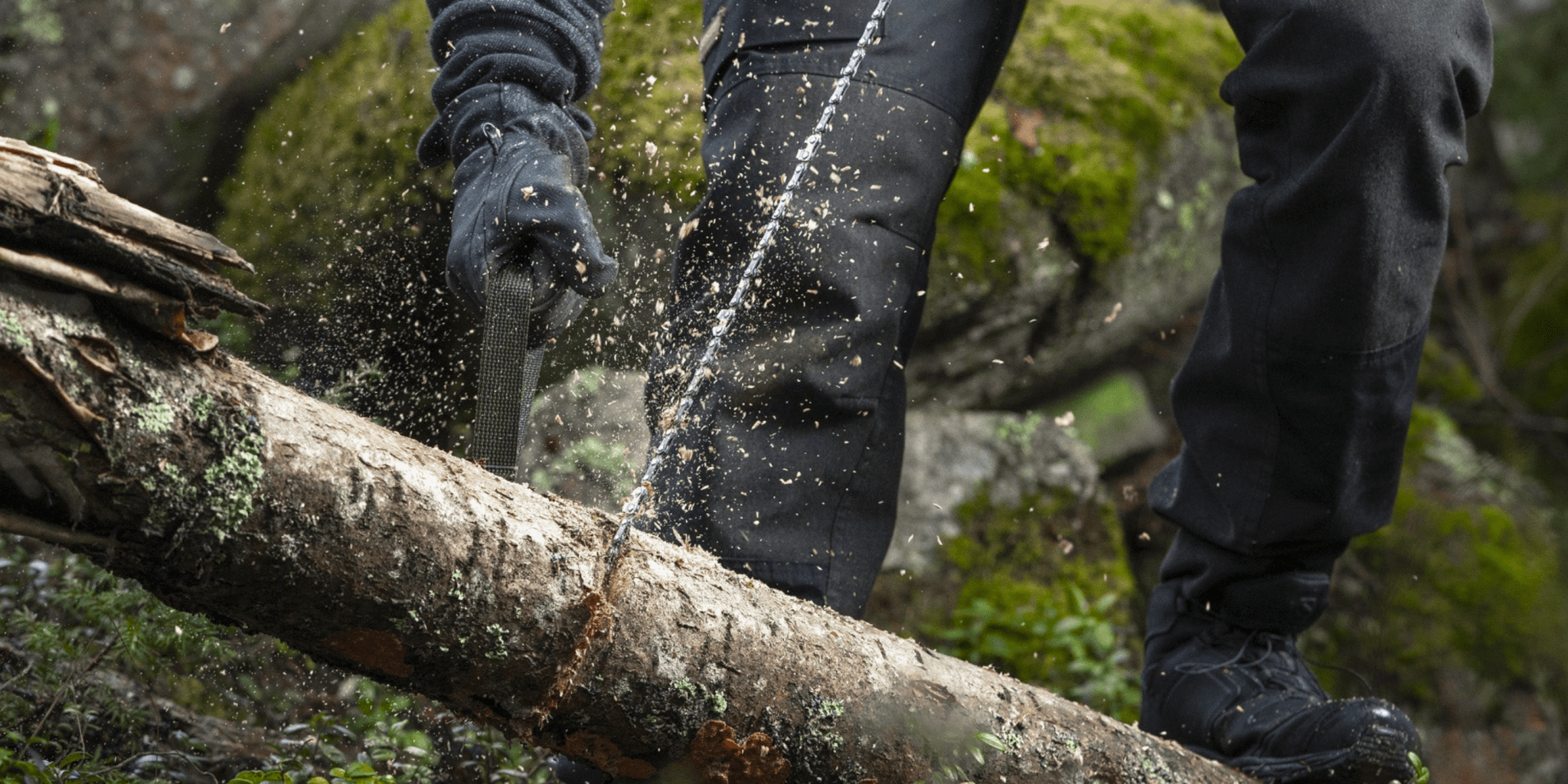 SEGHE E SEGACCI - BackPacco
