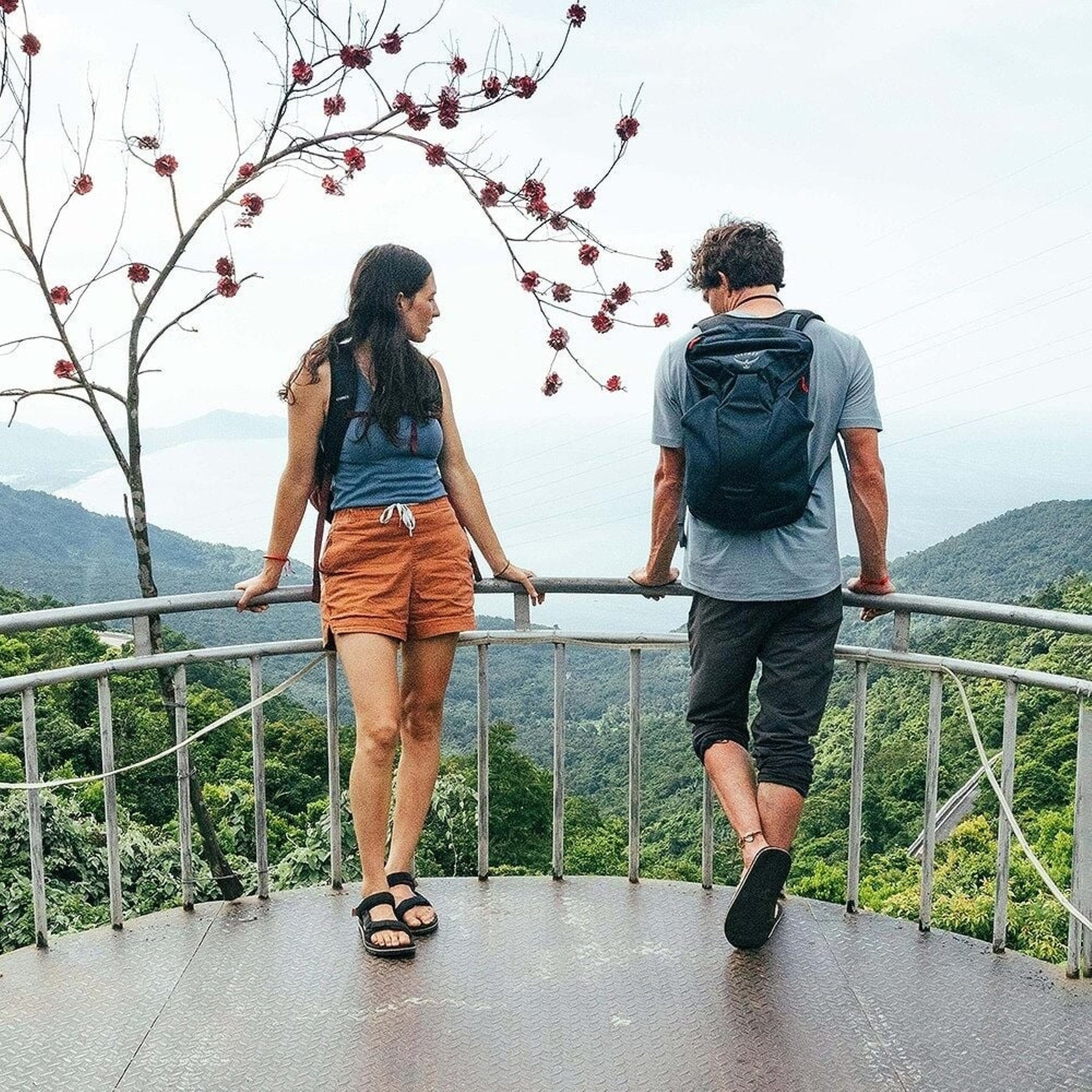 Osprey Farpoint Fairview Travel Daypack: Zaino da viaggio leggero da 15 litri progettato come modulo aggiuntivo o zaino giornaliero indipendente. Dispone di scomparto imbottito per laptop o sacca idrica, tasche esterne in rete e schienale traspirante. Compatibile con i modelli Farpoint e Fairview.