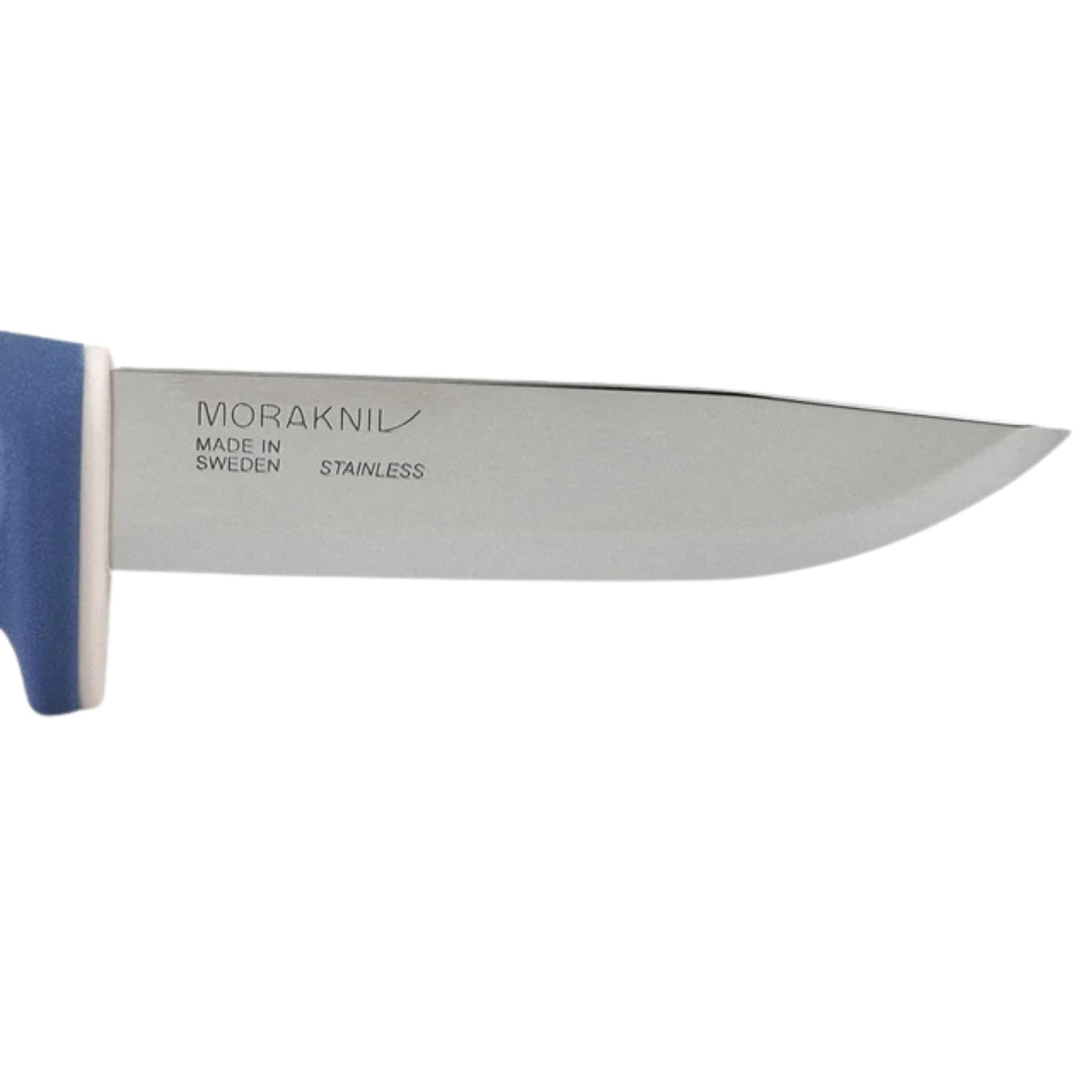 Morakniv Risberg coltello a lama fissa per outdoor e campeggio lama con affilatura scandi impugnatura ergonomica in polimero strutturato antiscivolo e foro per cordino ideale per escursionismo bushcraft e attività nella natura