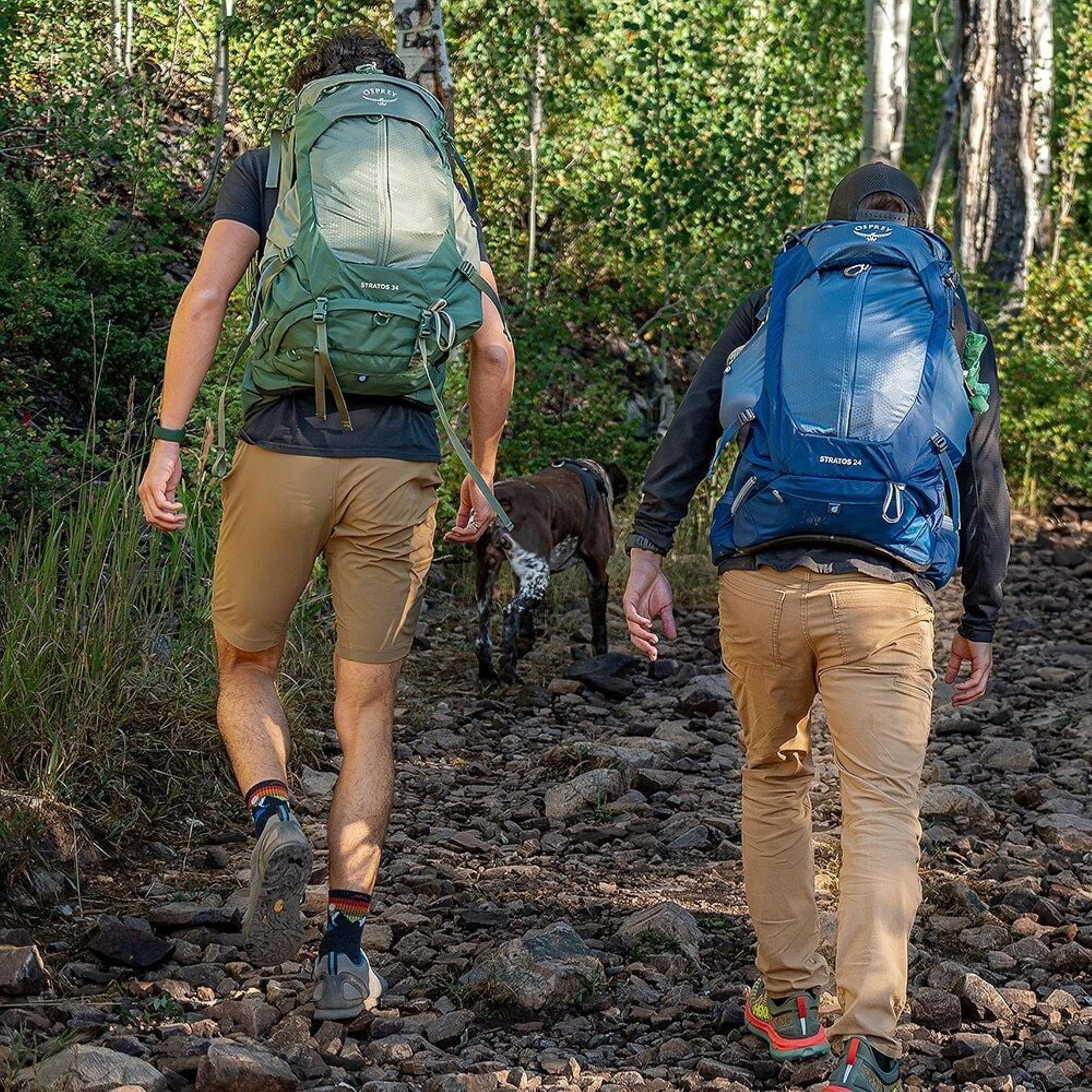 OSPREY | STRATOS 24 - Zaino uomo da 24 L Collezione 2026 - BackPacco - BP-OSPREY-10007527