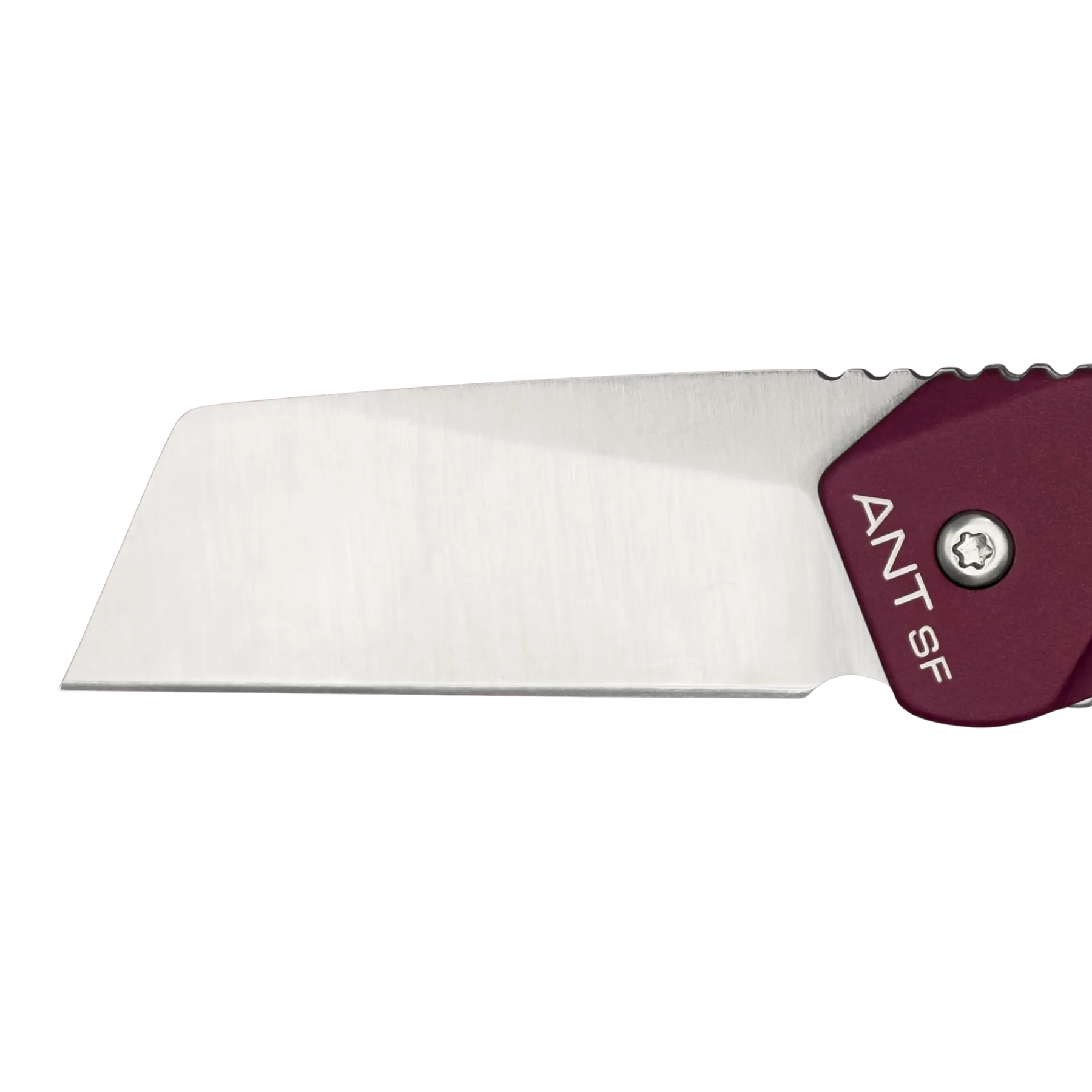 Extrema Ratio ANT Urban SF: Coltello chiudibile EDC compatto con lama sheepfoot in acciaio Bohler N690. Versione Urban caratterizzata da impugnatura in alluminio anticorodal anodizzato. Sistema di chiusura Frame Lock e struttura ultra-leggera per porto quotidiano.