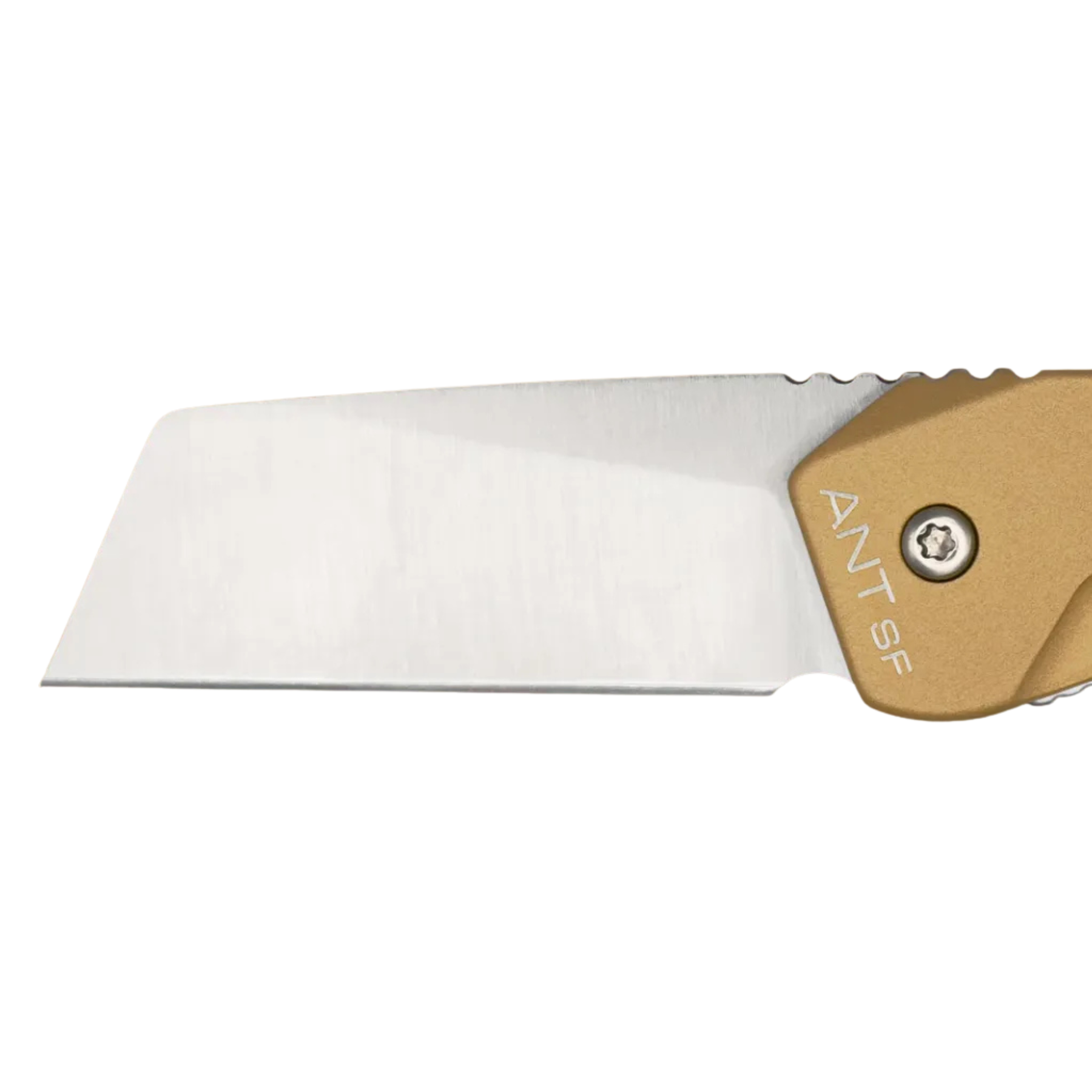 Extrema Ratio ANT Urban SF: Coltello chiudibile EDC compatto con lama sheepfoot in acciaio Bohler N690. Versione Urban caratterizzata da impugnatura in alluminio anticorodal anodizzato. Sistema di chiusura Frame Lock e struttura ultra-leggera per porto quotidiano.