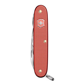 VICTORINOX | PIONEER X ALOX LIMITED EDITION 2025 - Multiuso in edizione limitata - BackPacco - BP-VICTORINOX-0.8231.L25