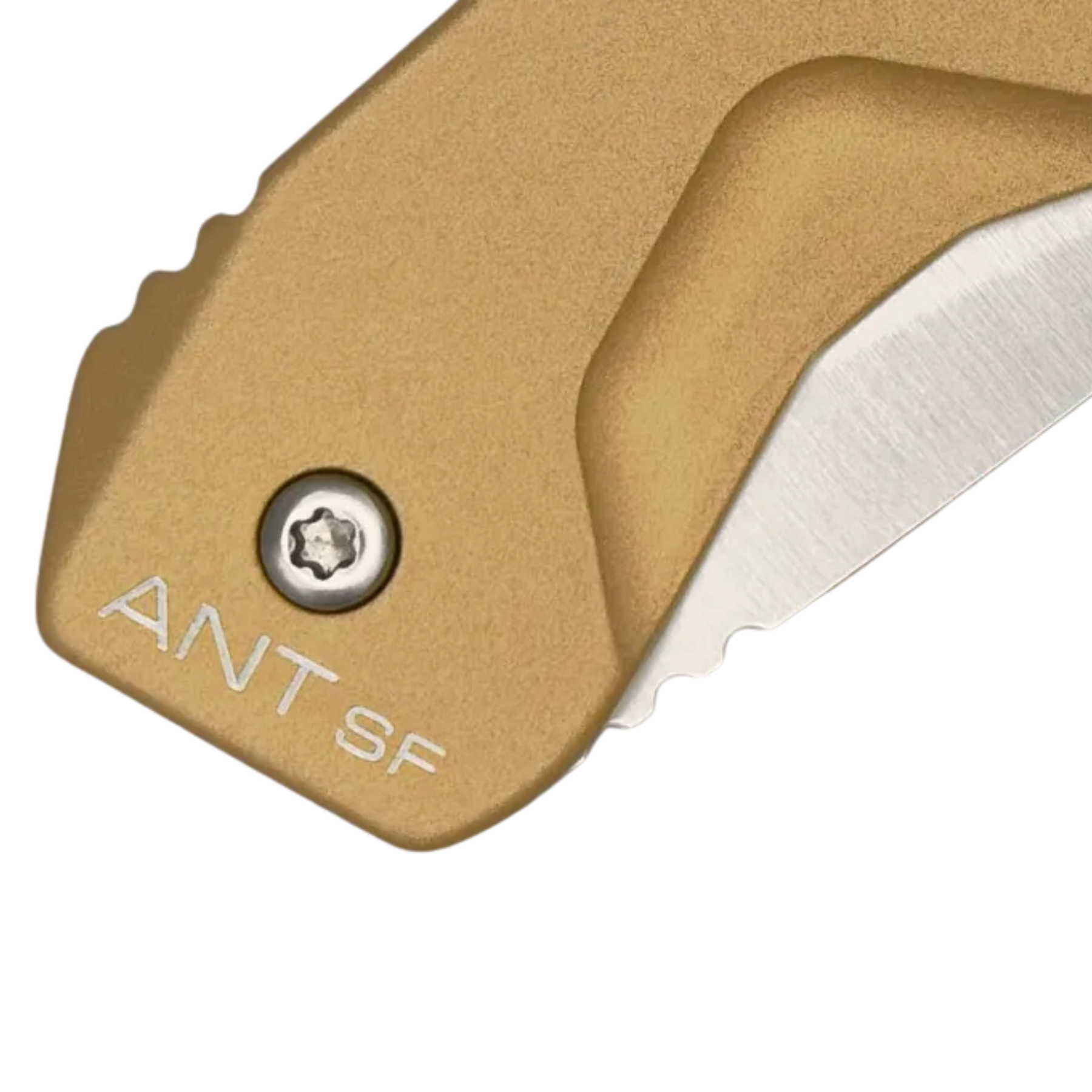 Extrema Ratio ANT Urban SF: Coltello chiudibile EDC compatto con lama sheepfoot in acciaio Bohler N690. Versione Urban caratterizzata da impugnatura in alluminio anticorodal anodizzato. Sistema di chiusura Frame Lock e struttura ultra-leggera per porto quotidiano.