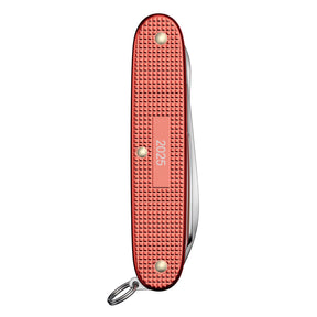 VICTORINOX | PIONEER X ALOX LIMITED EDITION 2025 - Multiuso in edizione limitata - BackPacco - BP-VICTORINOX-0.8231.L25