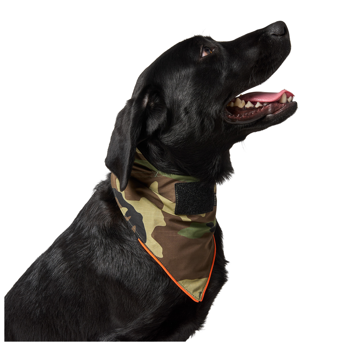 5.11 |  MISSION READY DOG BANDANA - Bandana per cane