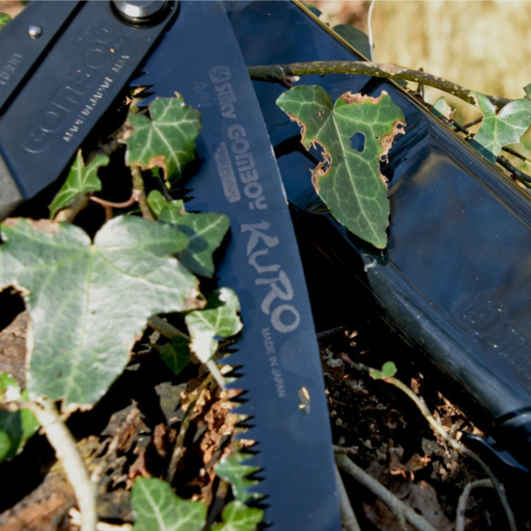 SILKY GOMBOY CURVE OUTBACK KURO Sega pieghevole in Acciaio Giapponese Premium, Edizione Limitata 40° Anniversario. Lama curva da 240 mm con rivestimento Black Oxide antiriflesso e impugnatura in Arbor Composite per uso outdoor estremo e bushcraft.