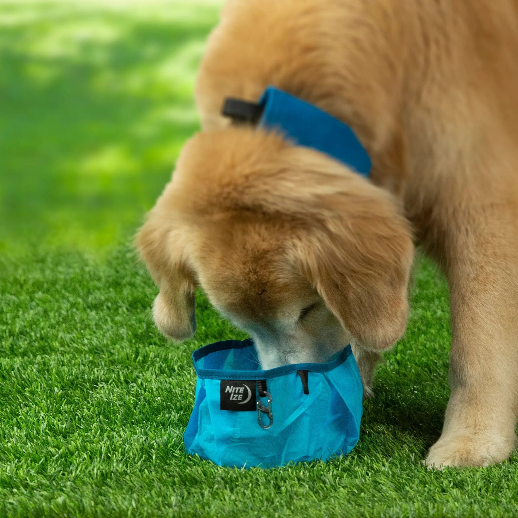 NITE IZE | RADDOG COLLAPSIBLE BOWL - Ciotola comprimibile - BackPacco - BP-NITEIZE-RWB-03-R8