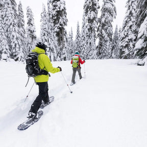 MSR | DYNALOCK TRAIL BACKCOUNTRY POLES - Bastoncini da trekking - BackPacco - BP-MSR-10239