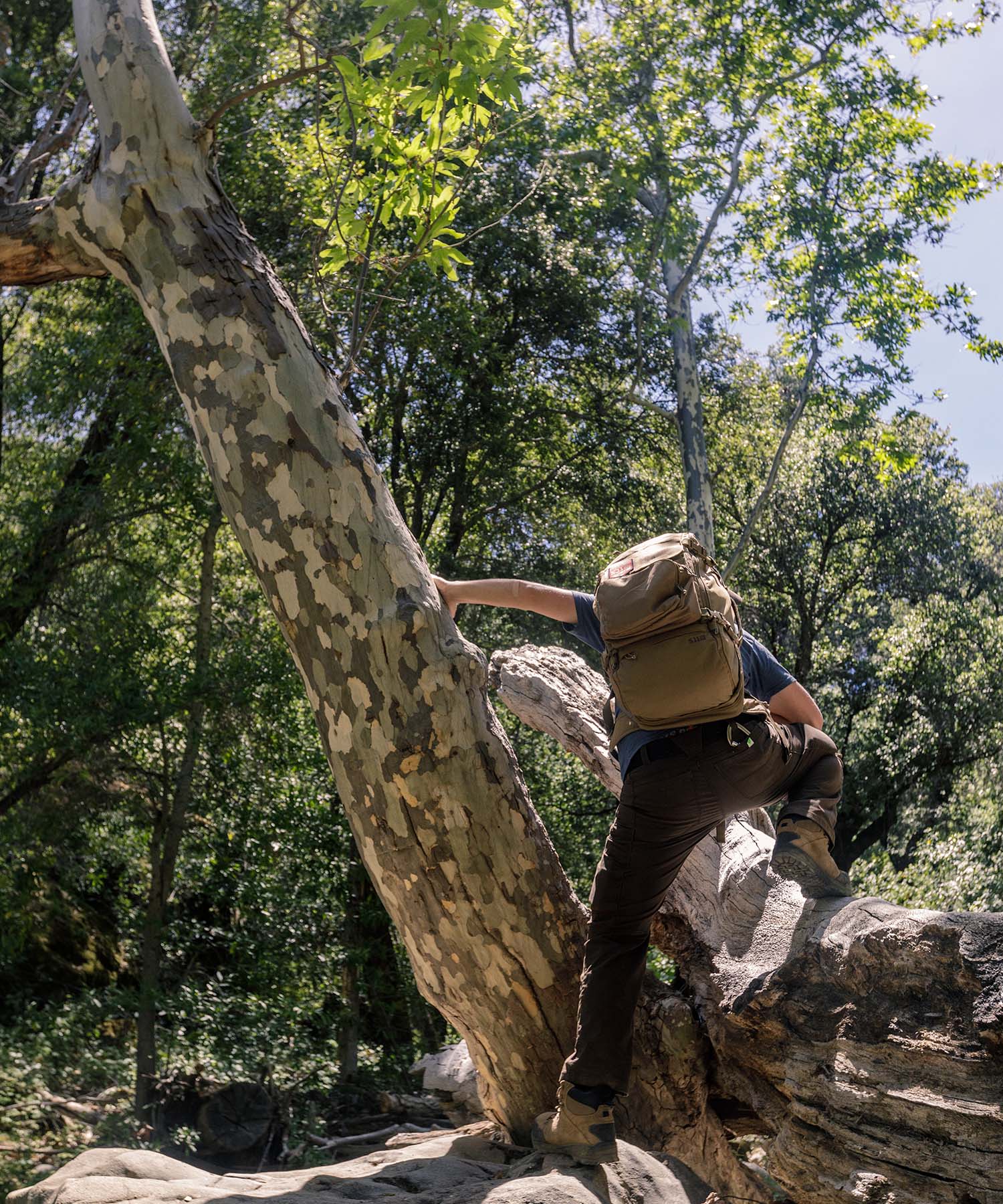 escursionista che scavalca un albero con indosso lo zaino amp 72 kangaroo di 5.11