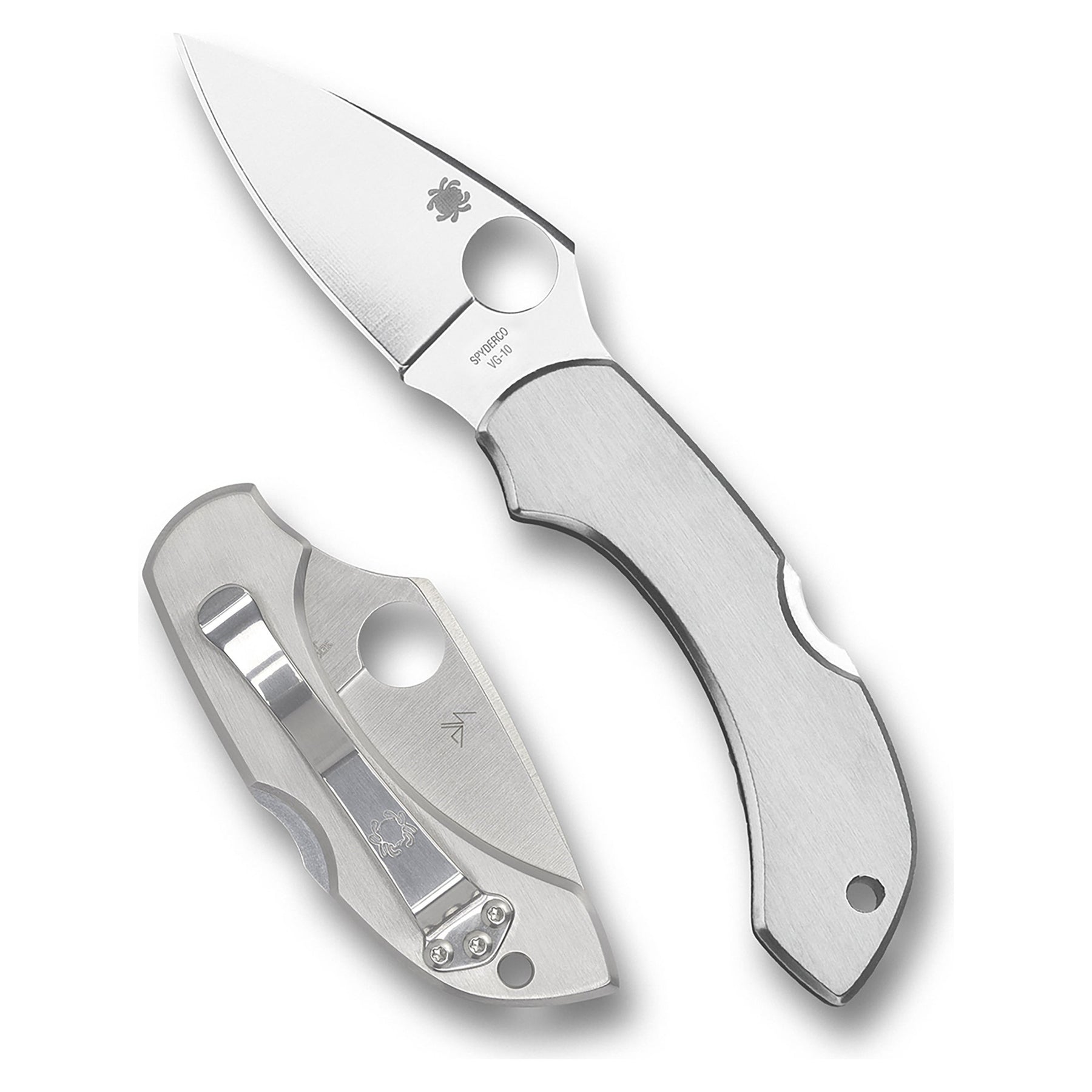 Spyderco Dragonfly acciaio inox